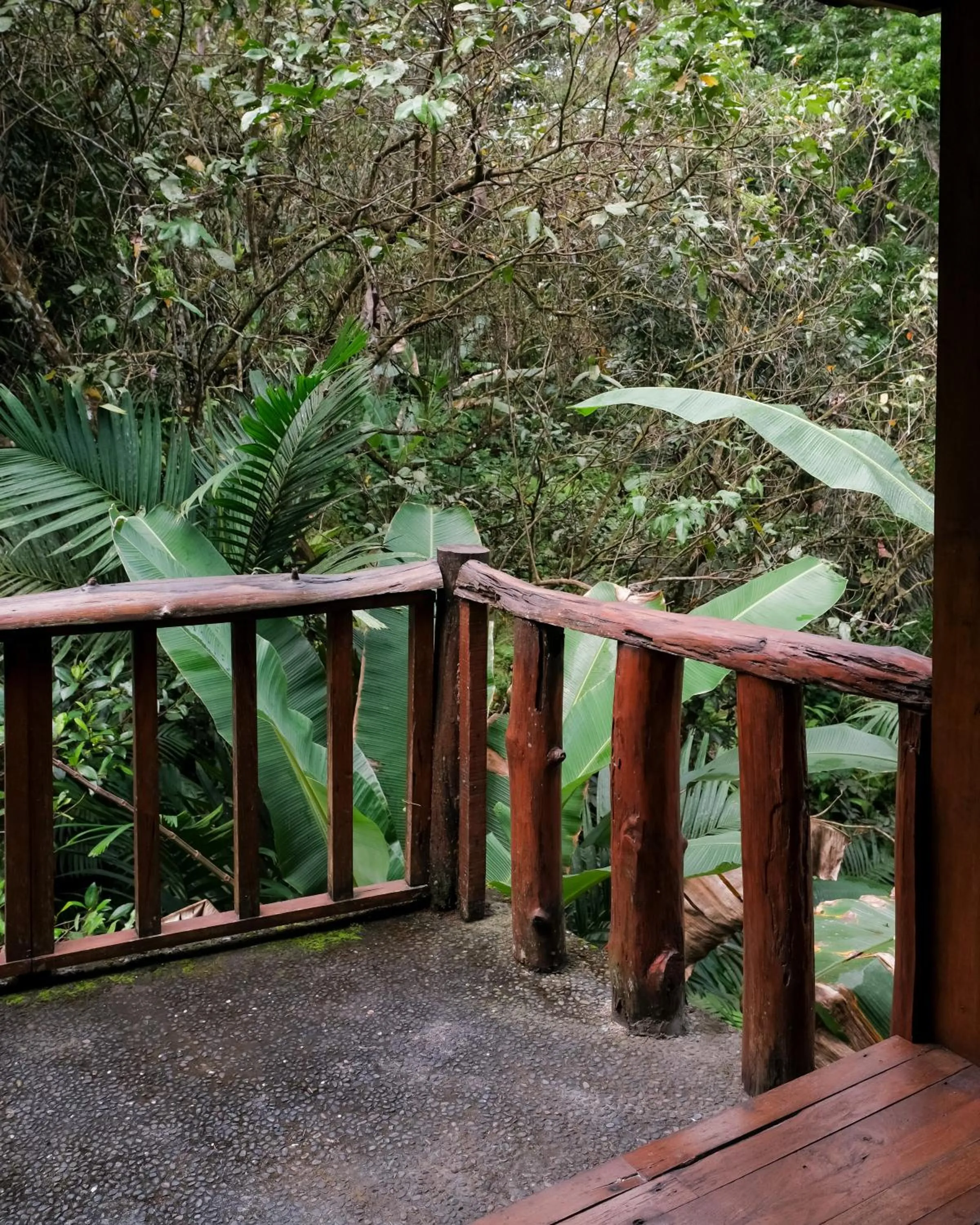 Garden view in Song Broek Bali