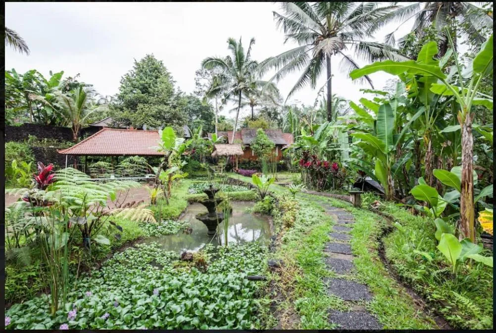 Natural landscape in Song Broek Bali
