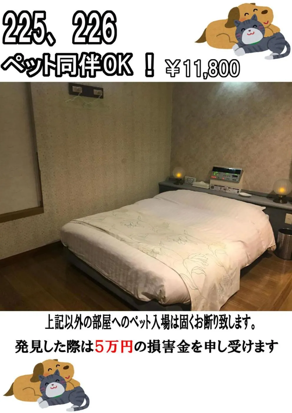 Pets, Bed in Hotel Vegas (Adult Only)