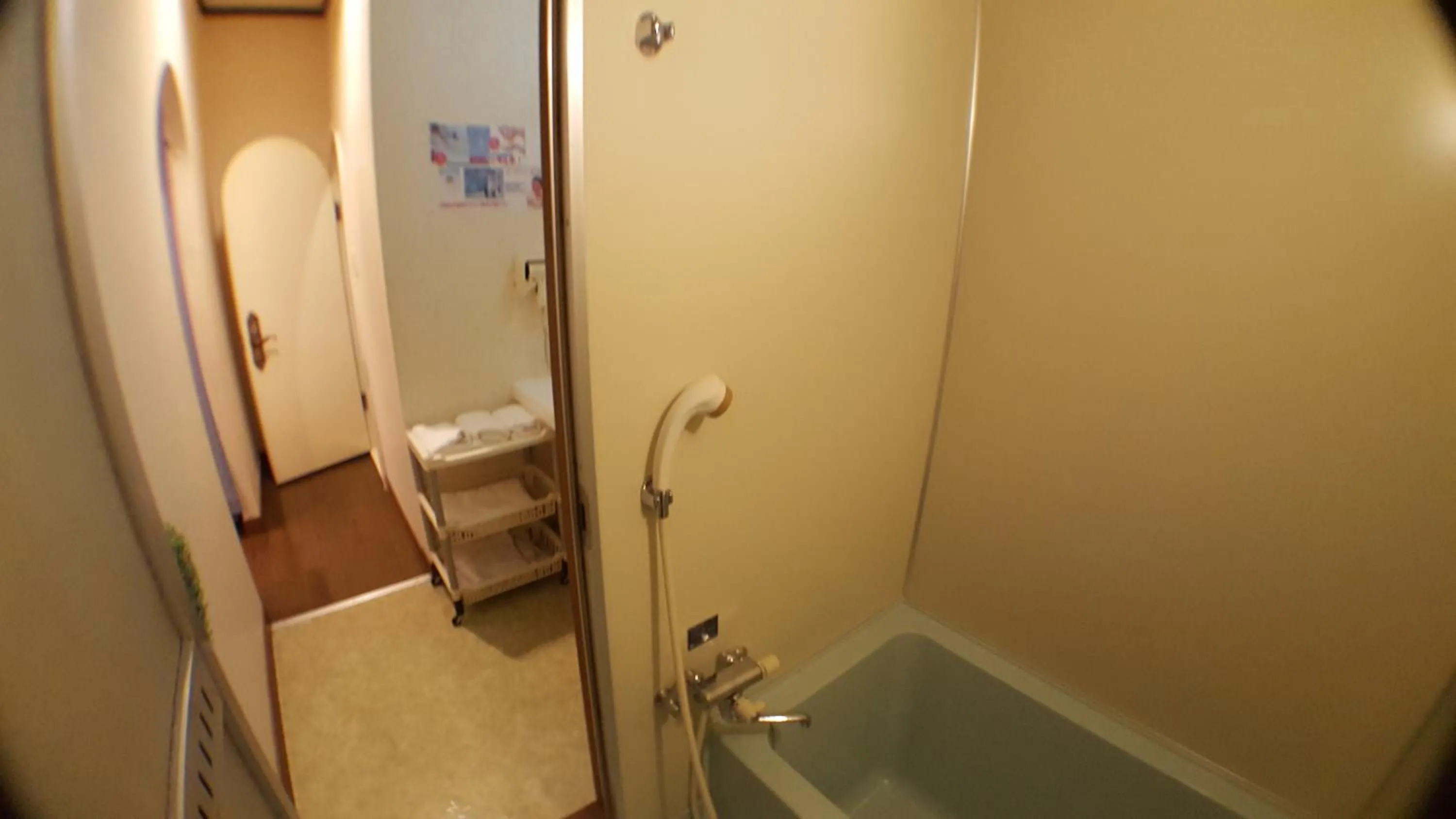Shower in Hotel Vegas (Adult Only)
