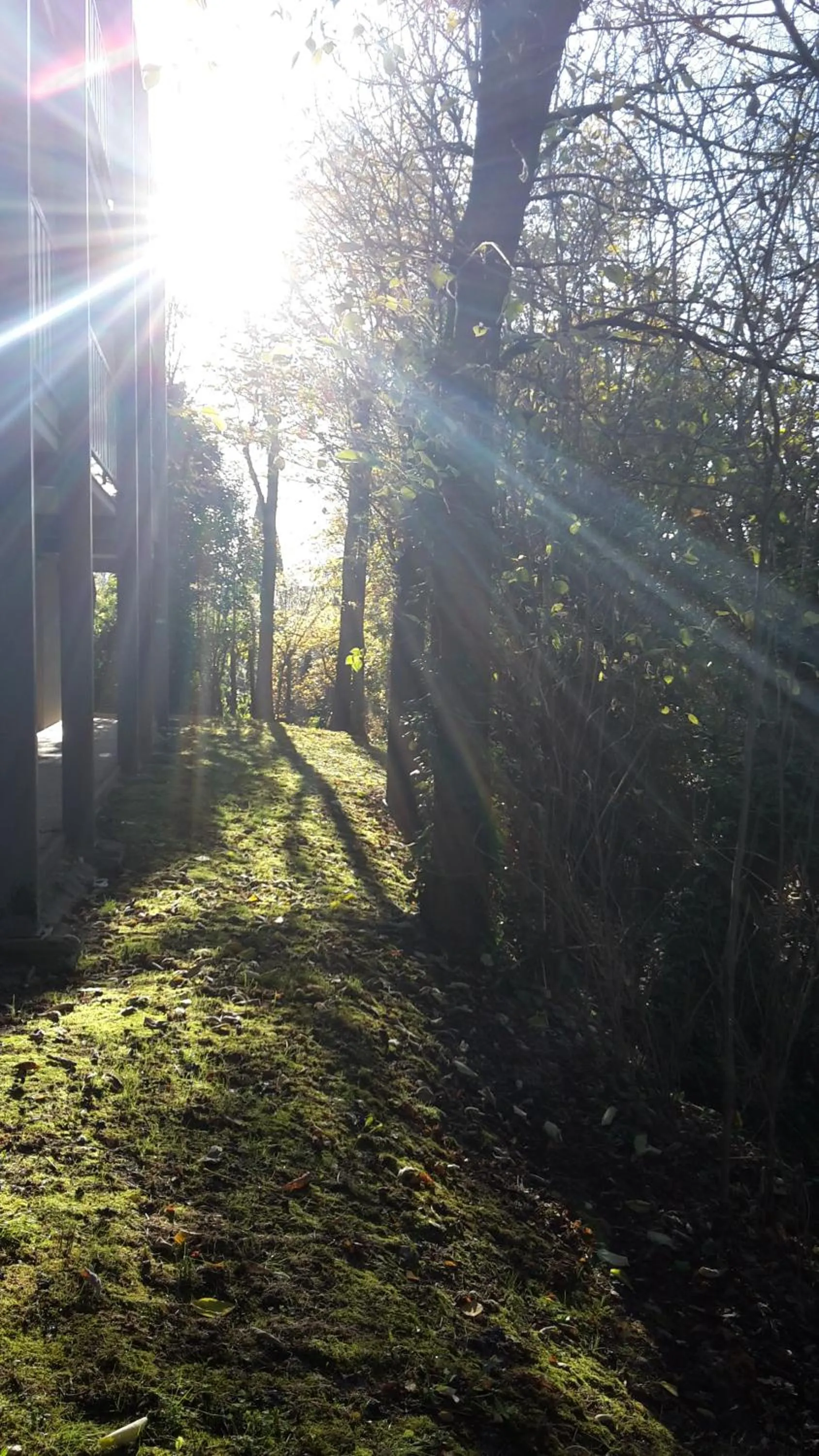 Natural landscape in Hotel Bel Alp Manosque