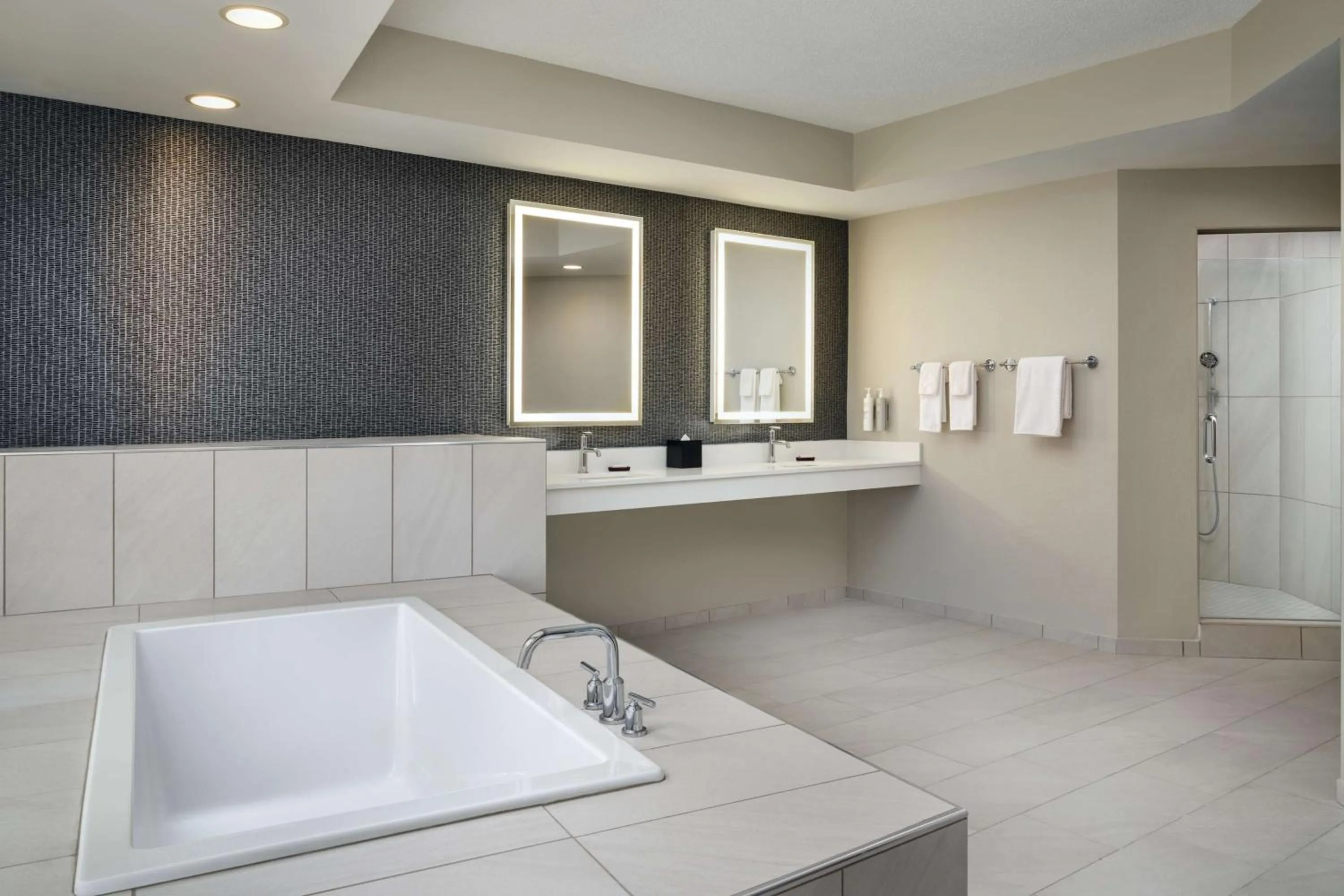 Bathroom in Embassy Suites by Hilton Hampton Convention Center