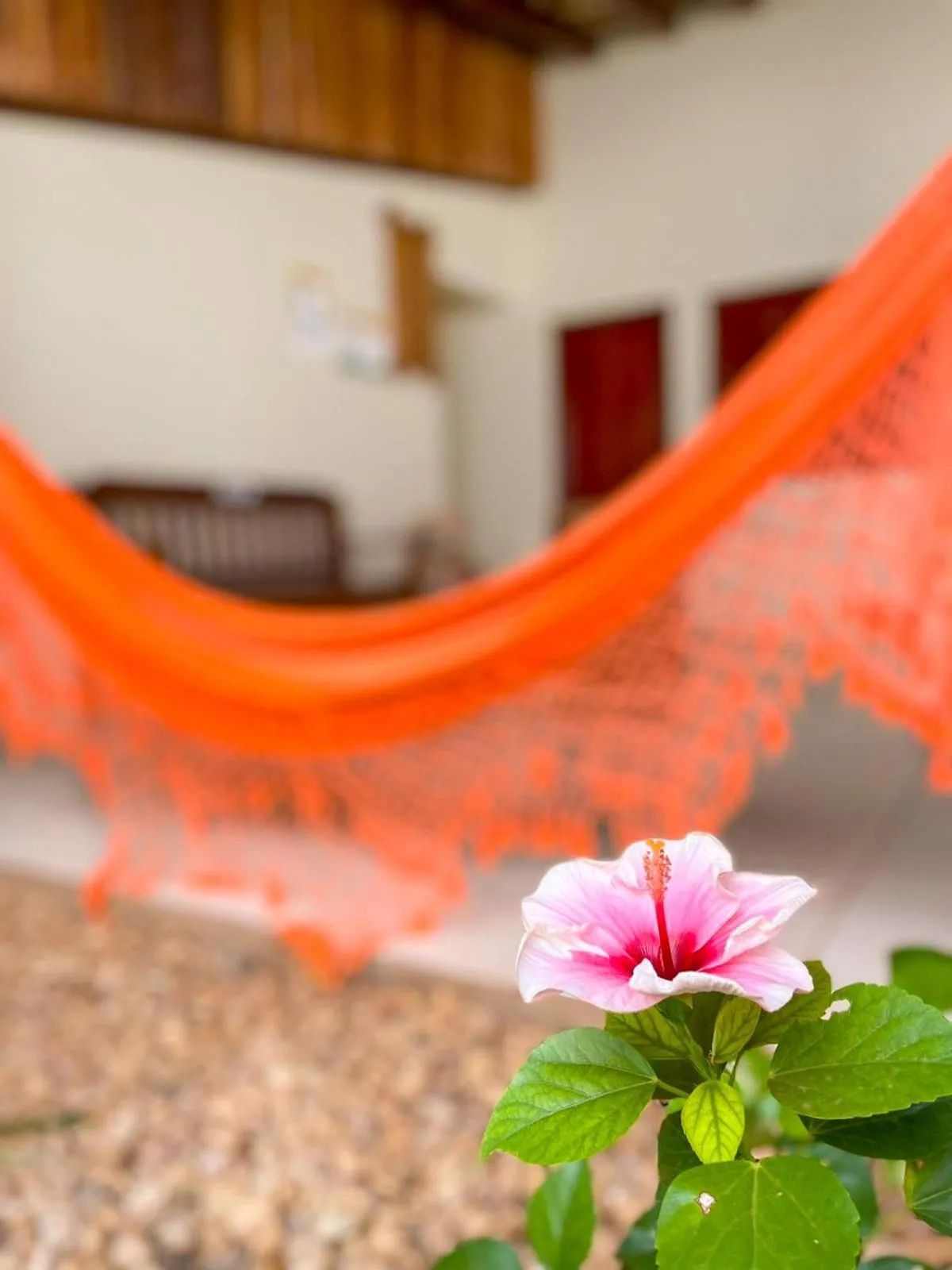 Day in Pousada Remanso