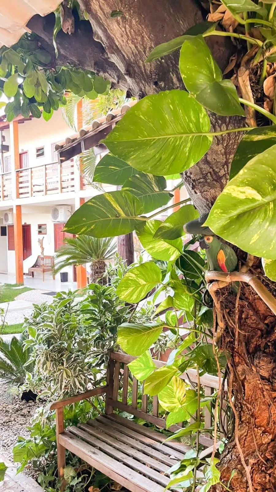 Natural landscape in Pousada Remanso