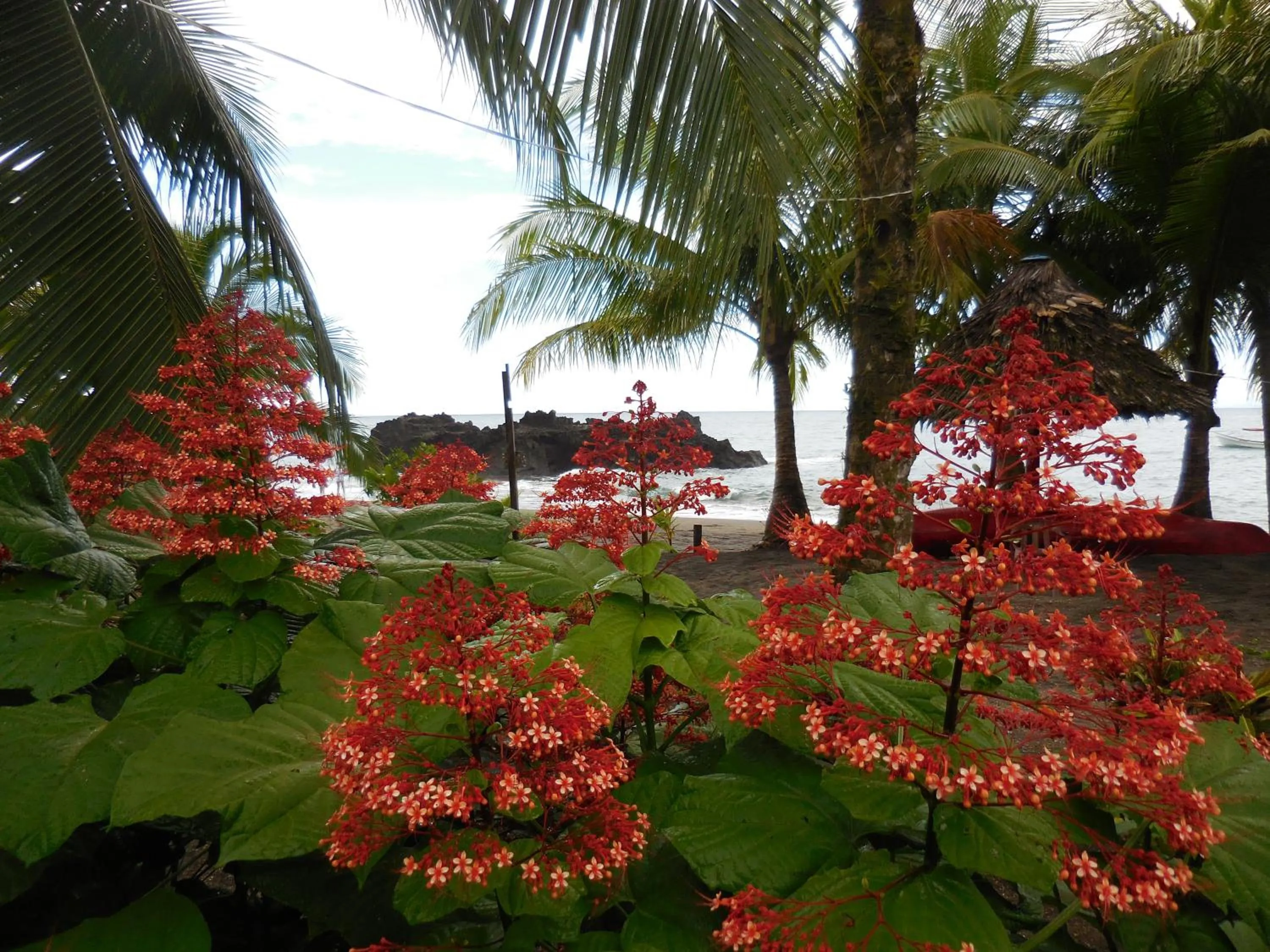 Beach in Hotel Nuquimar