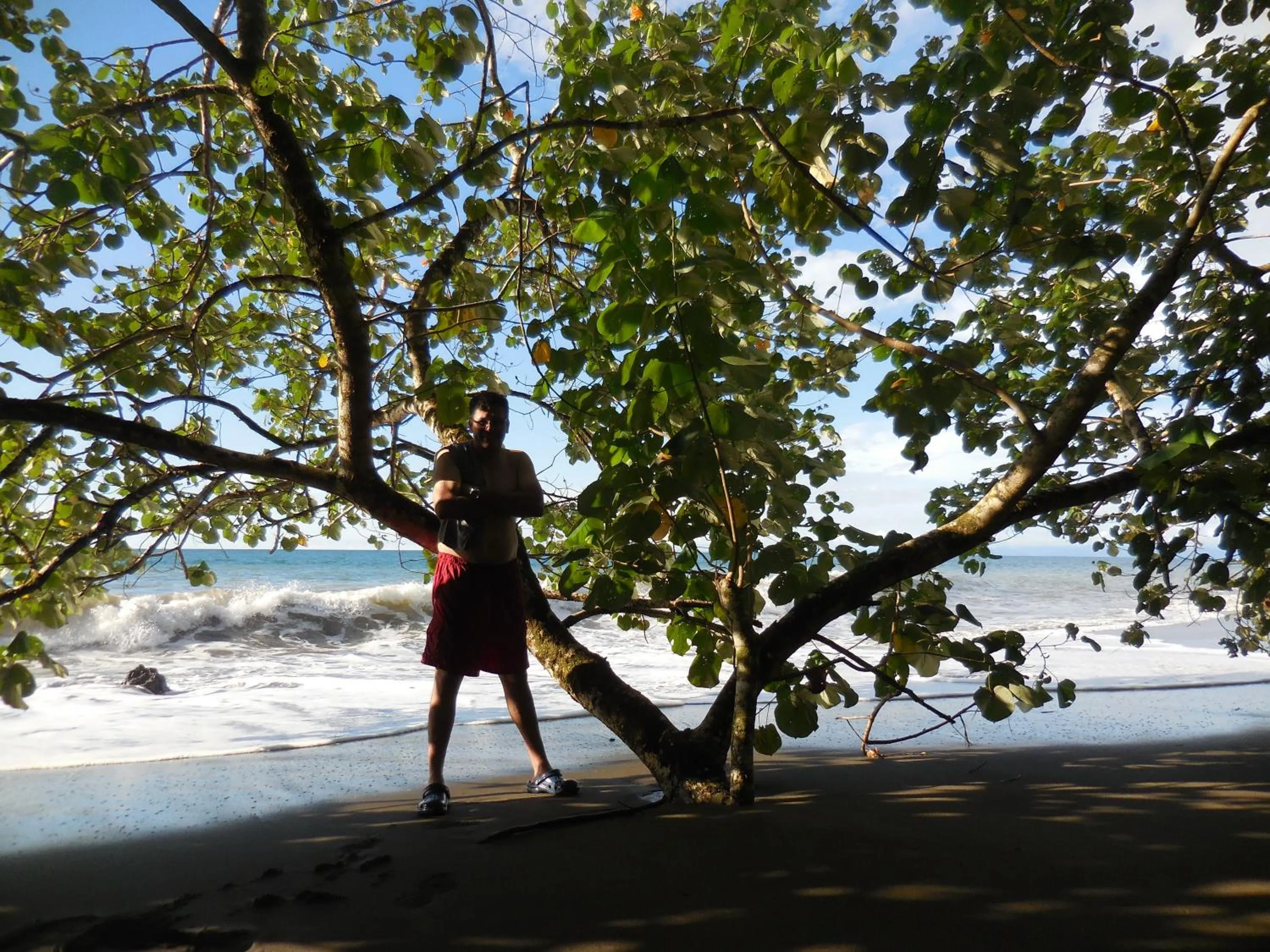 View (from property/room) in Hotel Nuquimar