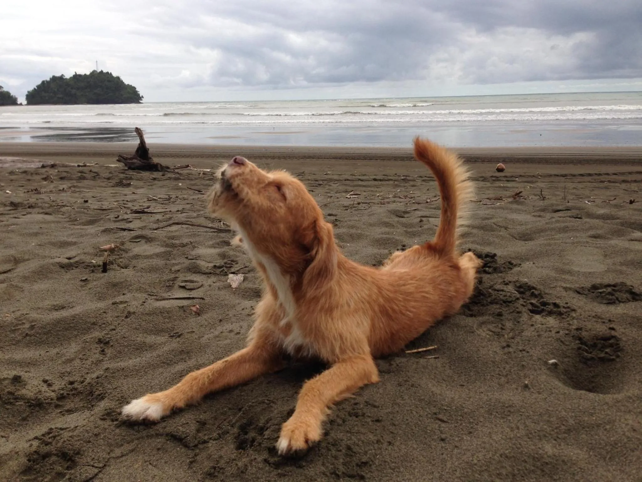 Beach in Hotel Nuquimar