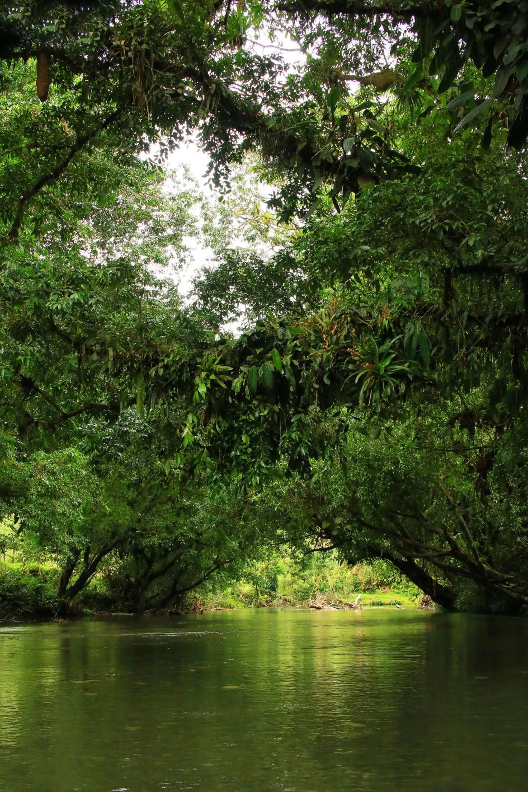 View (from property/room) in Hotel Nuquimar