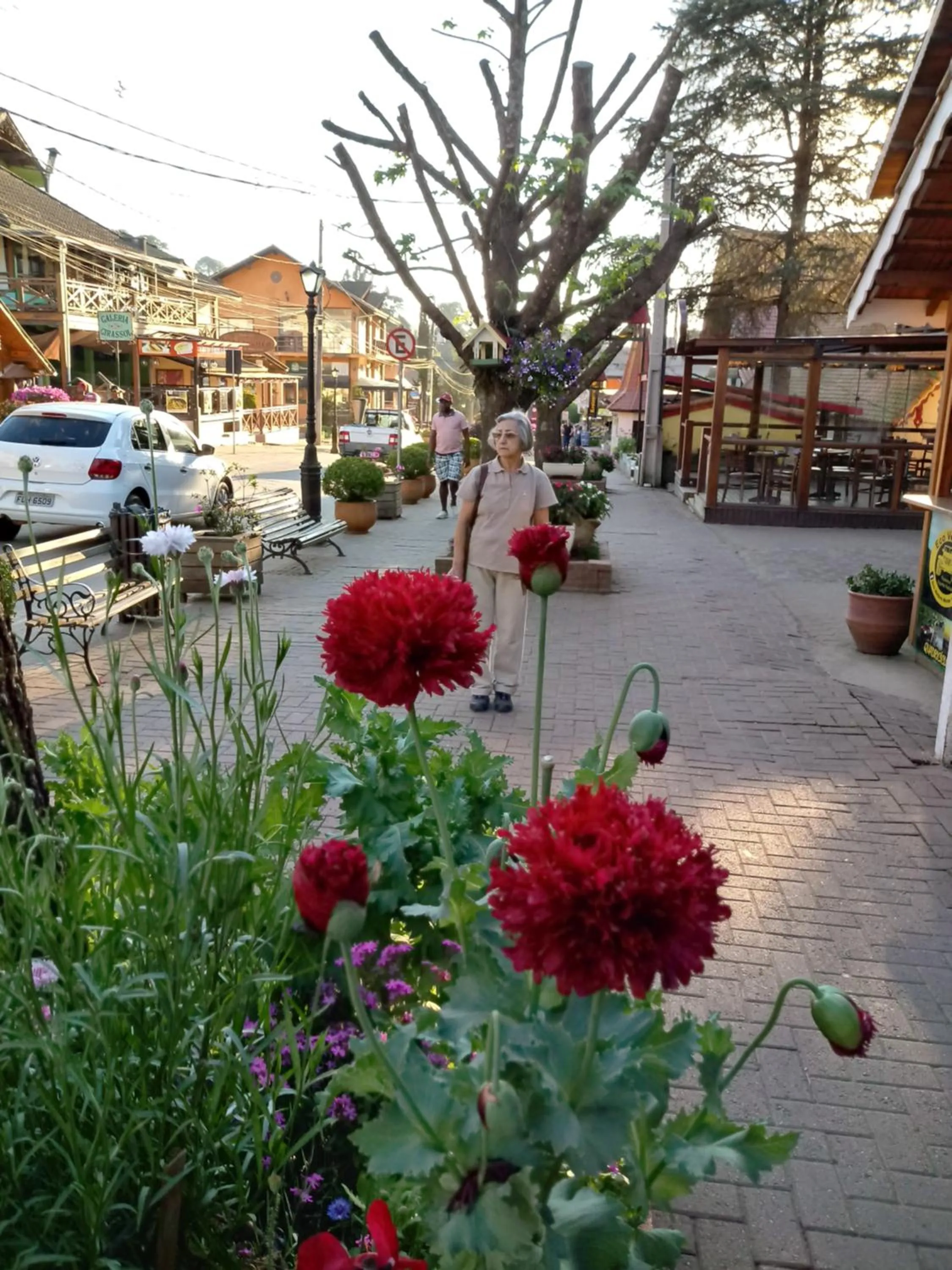 Neighbourhood in Pousada Amanita Monte Verde