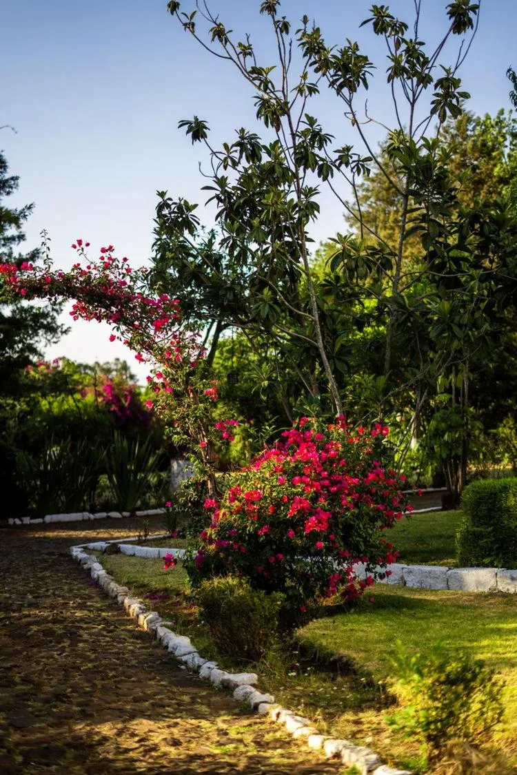 Garden view in Best Western Plus Posada de Don Vasco