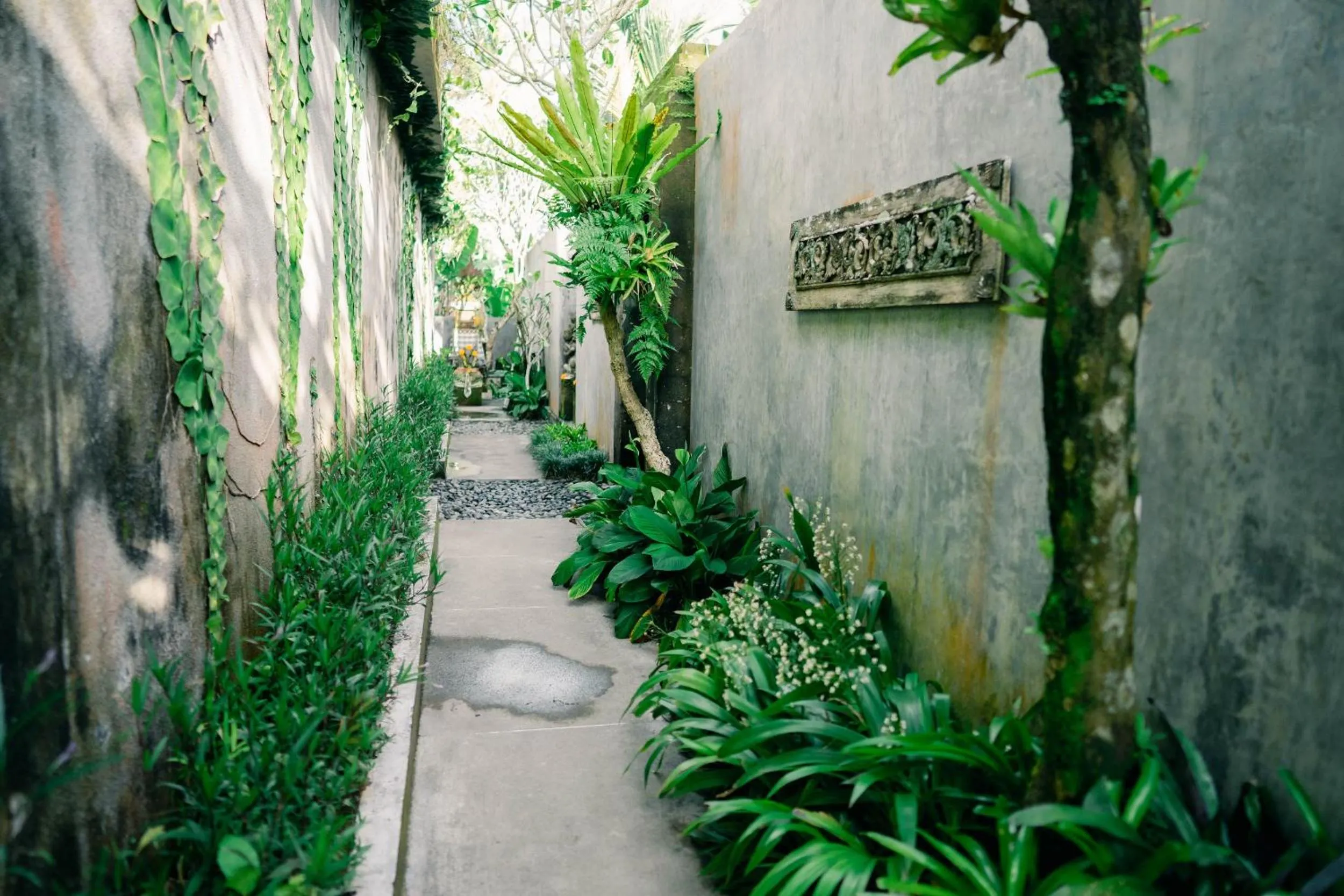 Garden view in Ume Sri Villas Ubud