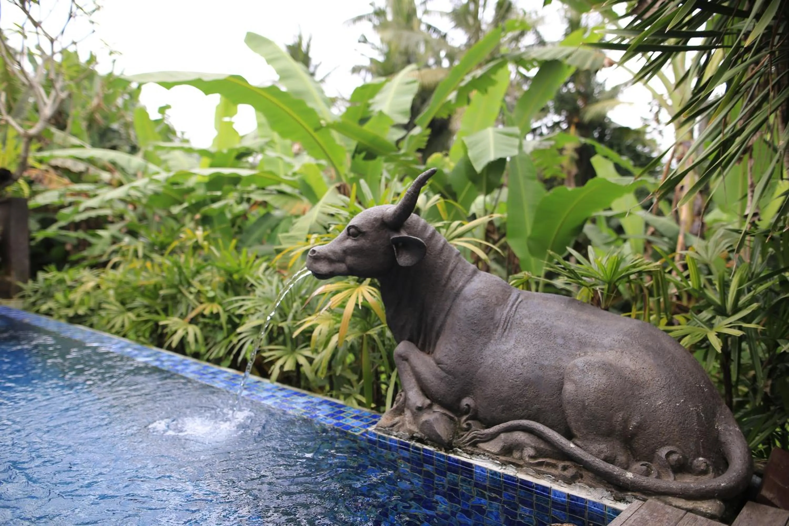 Pool view in Ume Sri Villas Ubud