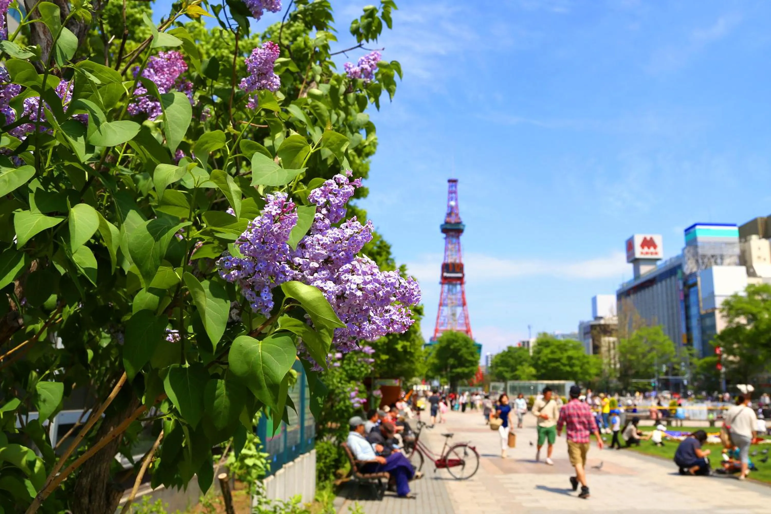 Nearby landmark in Sapporo View Hotel Odori Park