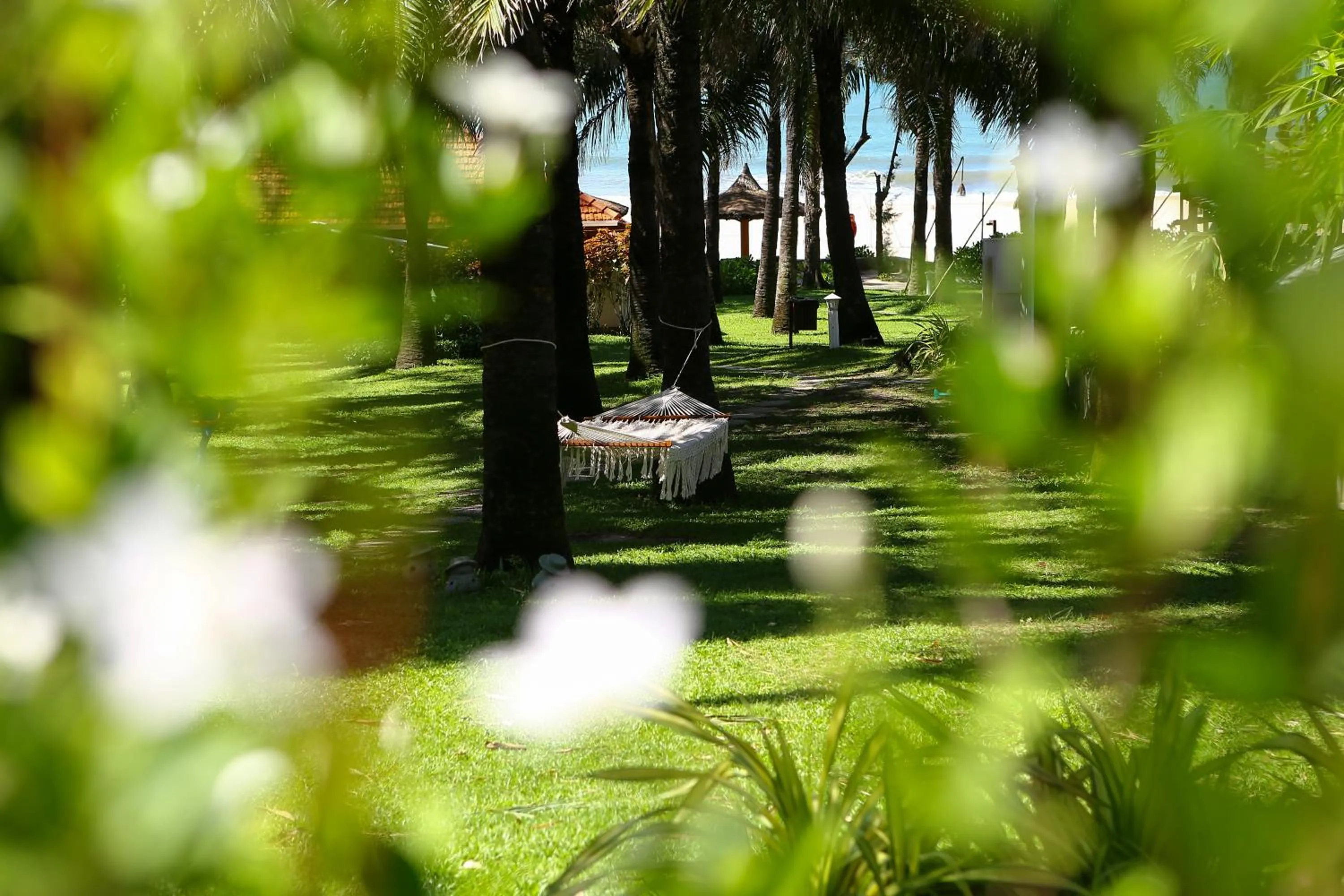 Garden view in Phu Hai Beach Resort & Spa Phan Thiet
