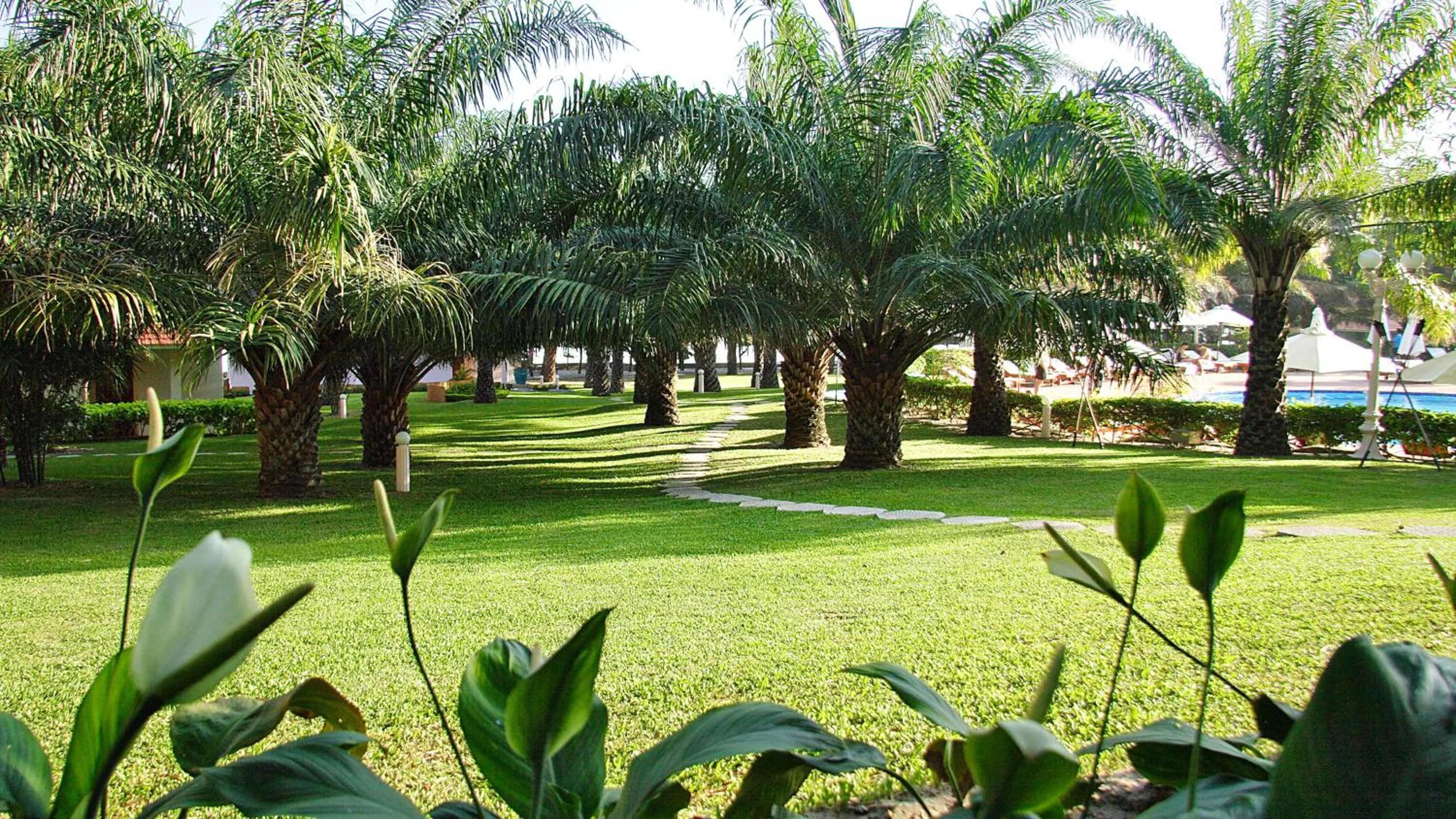 Garden view in Phu Hai Beach Resort & Spa Phan Thiet