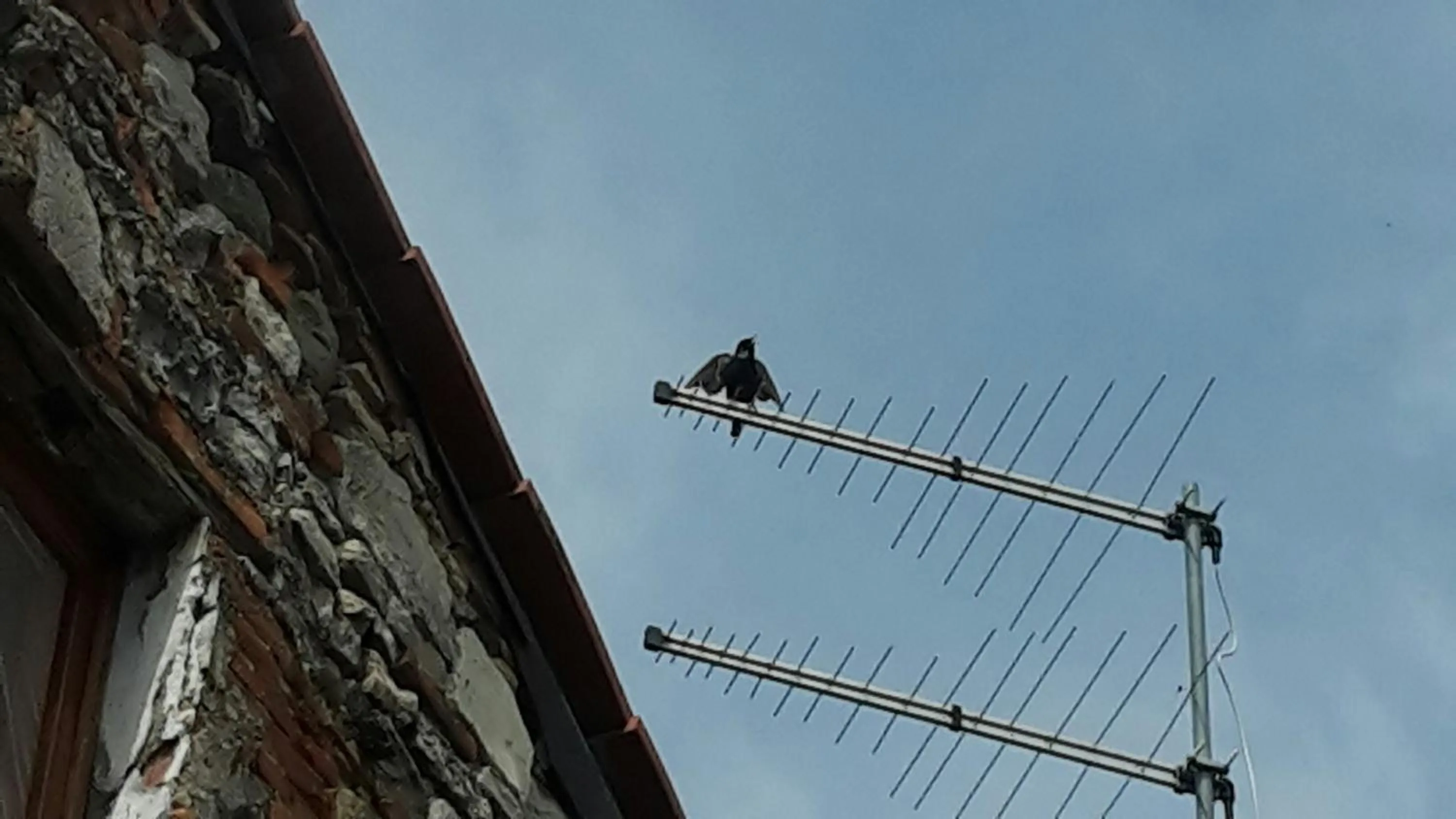 View (from property/room) in Gessy's