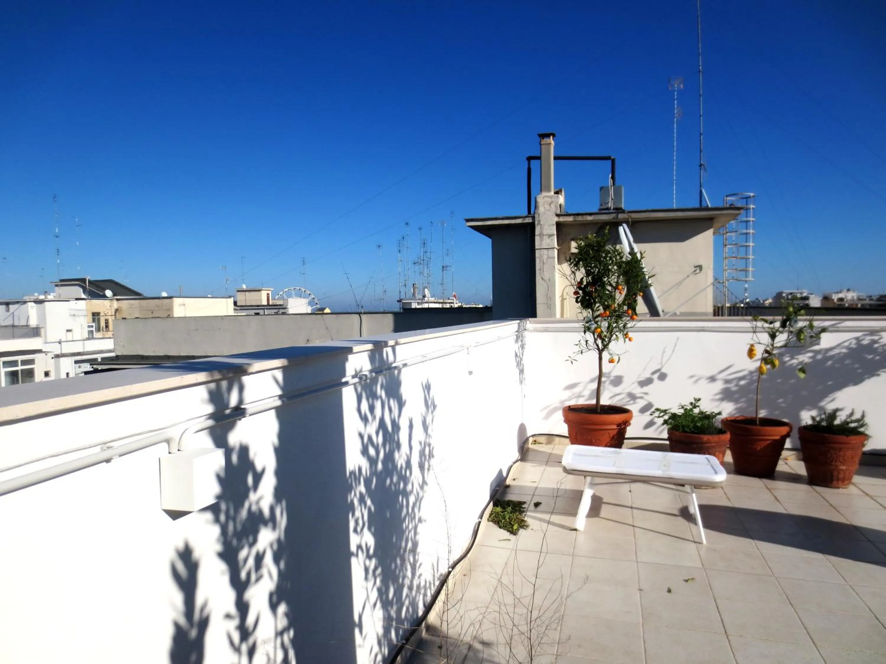 Balcony/Terrace in Gatto Bianco Le Terrazze