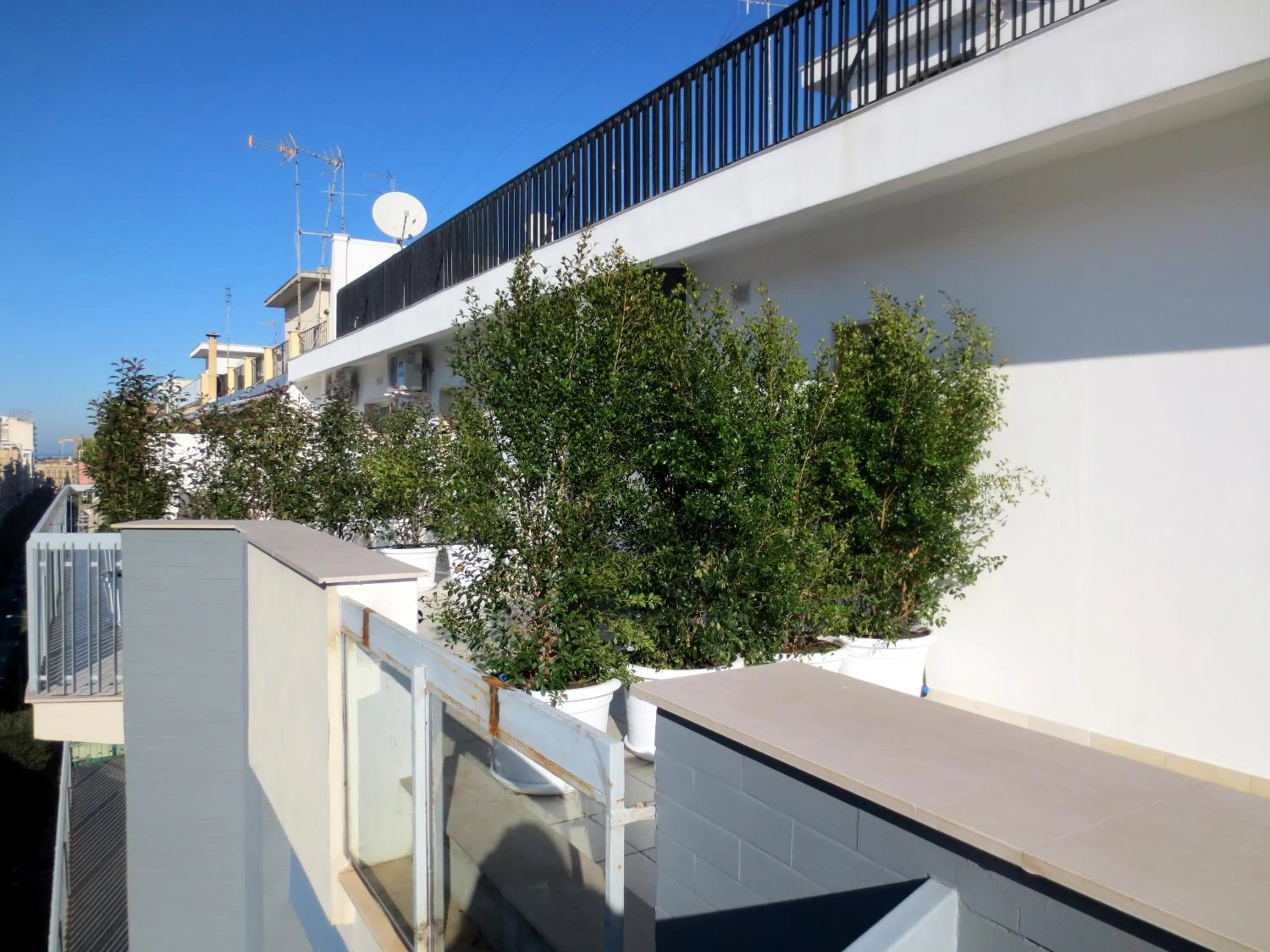 Balcony/Terrace in Gatto Bianco Le Terrazze