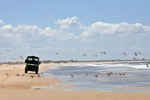 Nearby landmark in Hospedarte Arenas de El Rocio