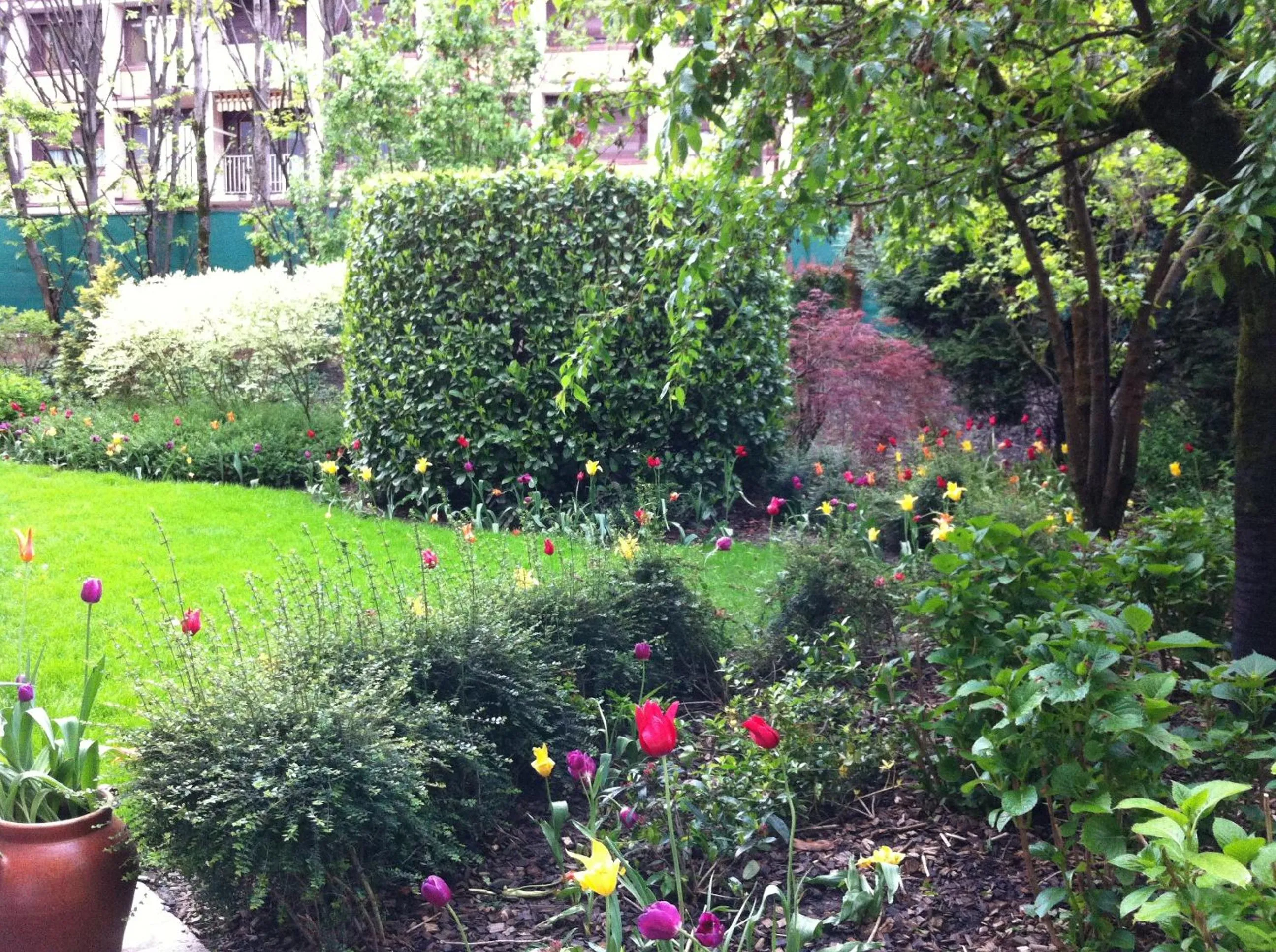 Garden view in Hôtel Restaurant Million