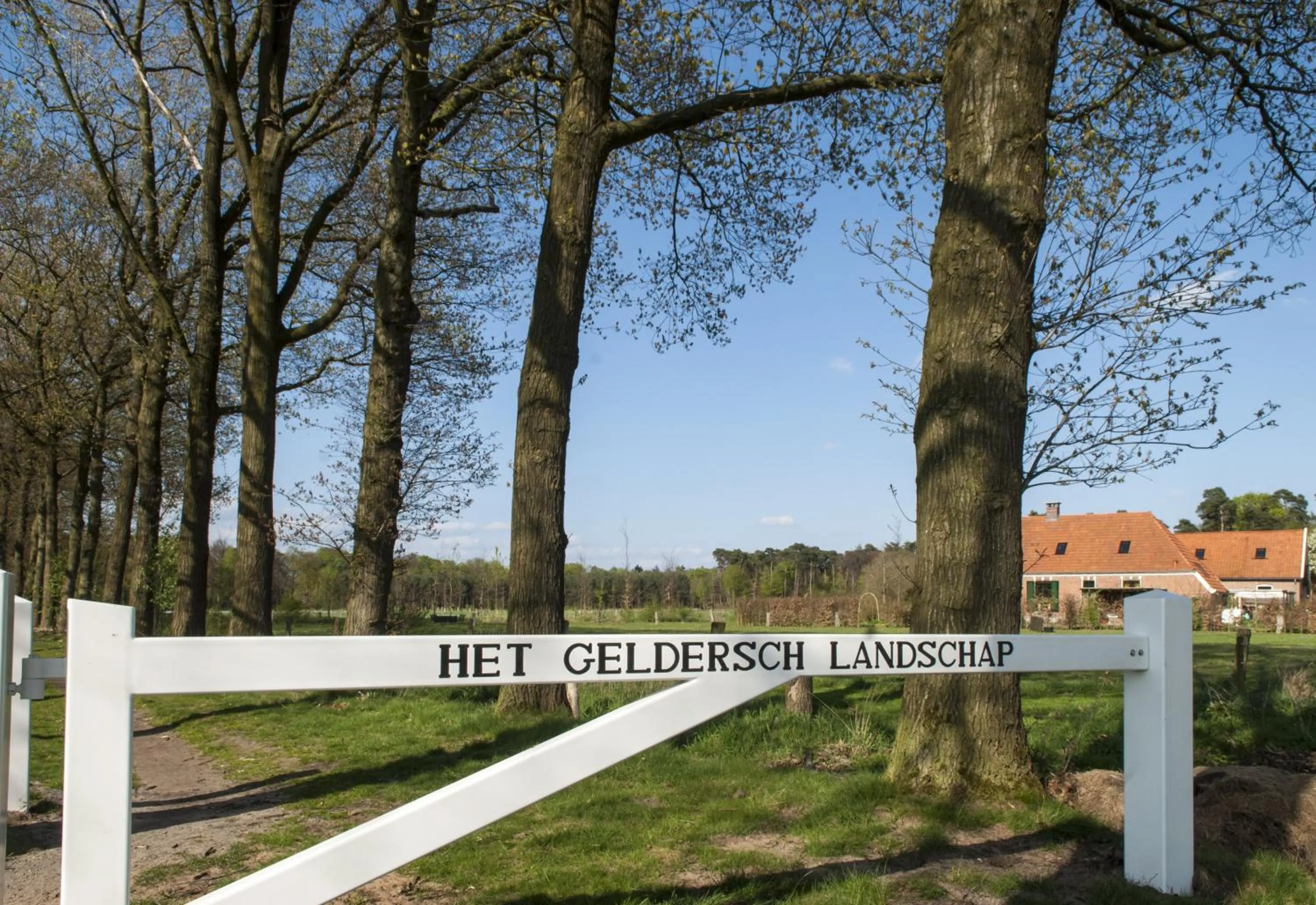 Other in Hotel de Lindeboom