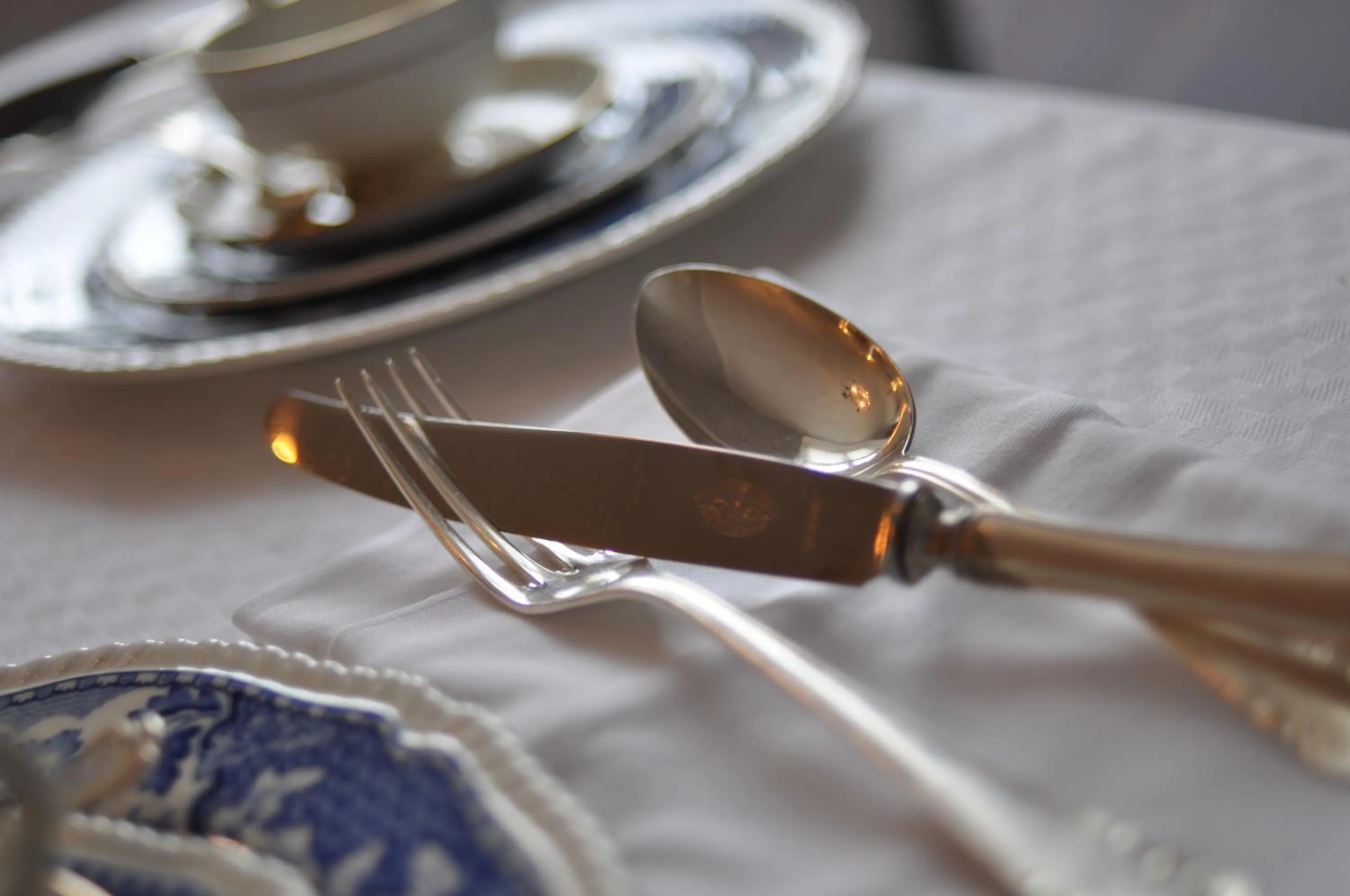 Dinner in Annas Hotell