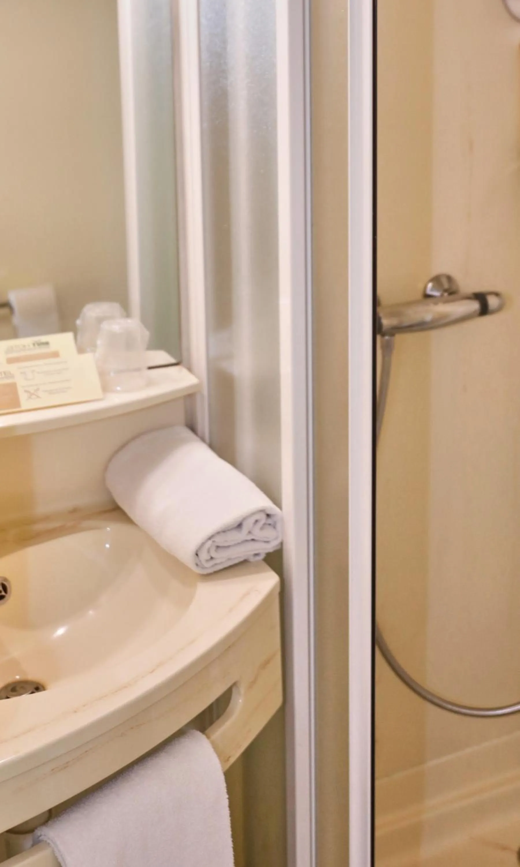 Shower in Brit Hotel Chambery