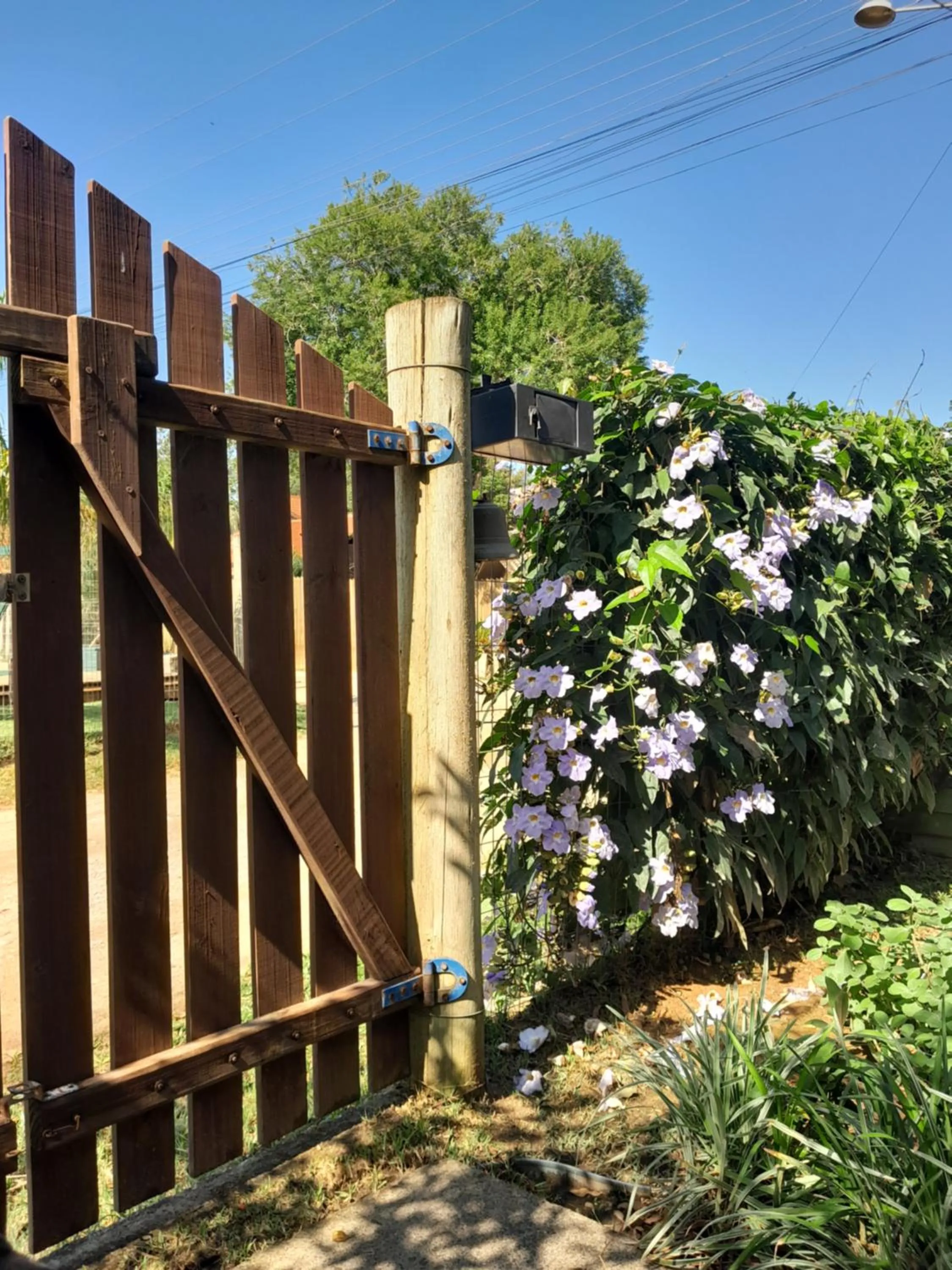 Landmark view in Santa Monica Hospedaria