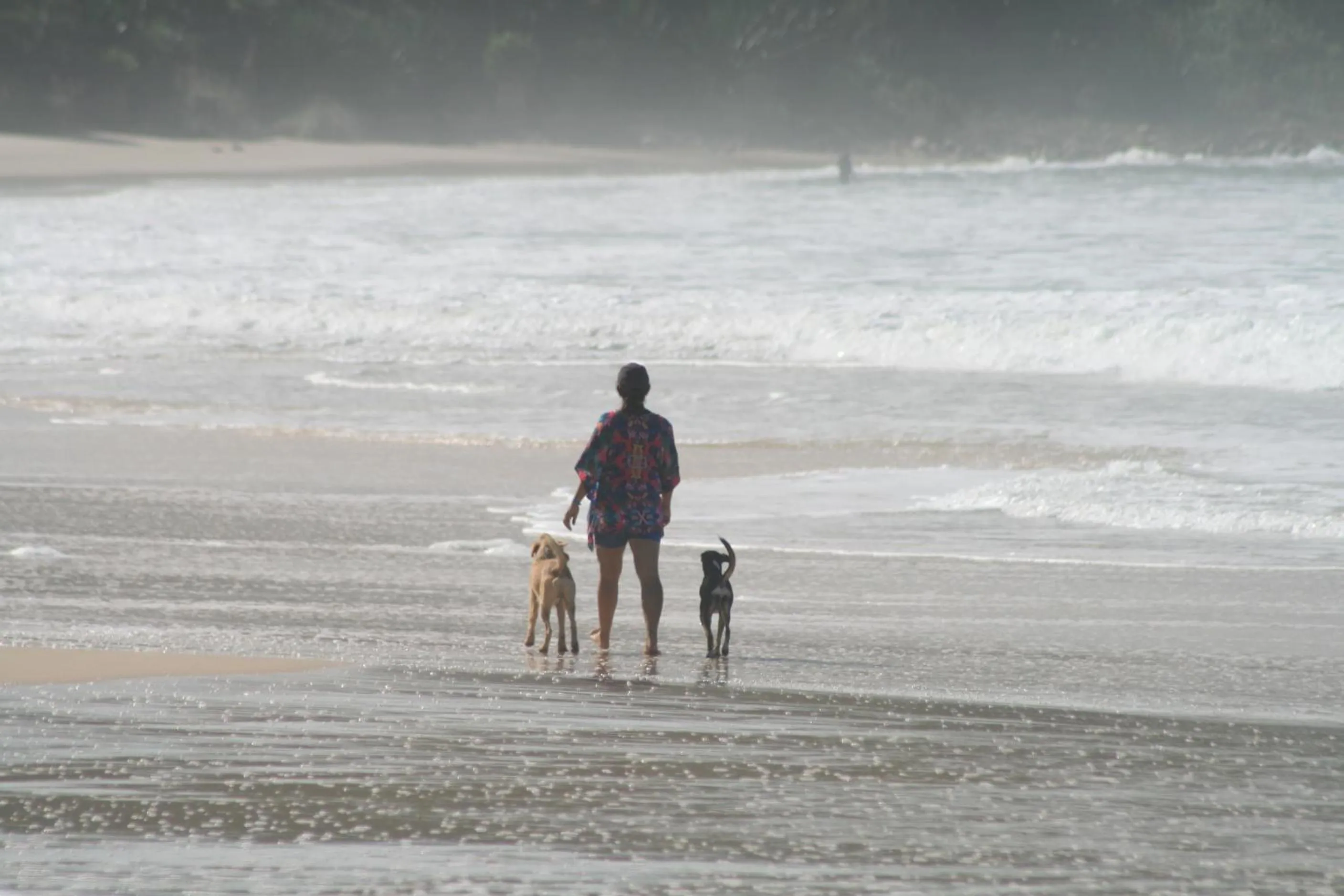 Beach in Santa Monica Hospedaria