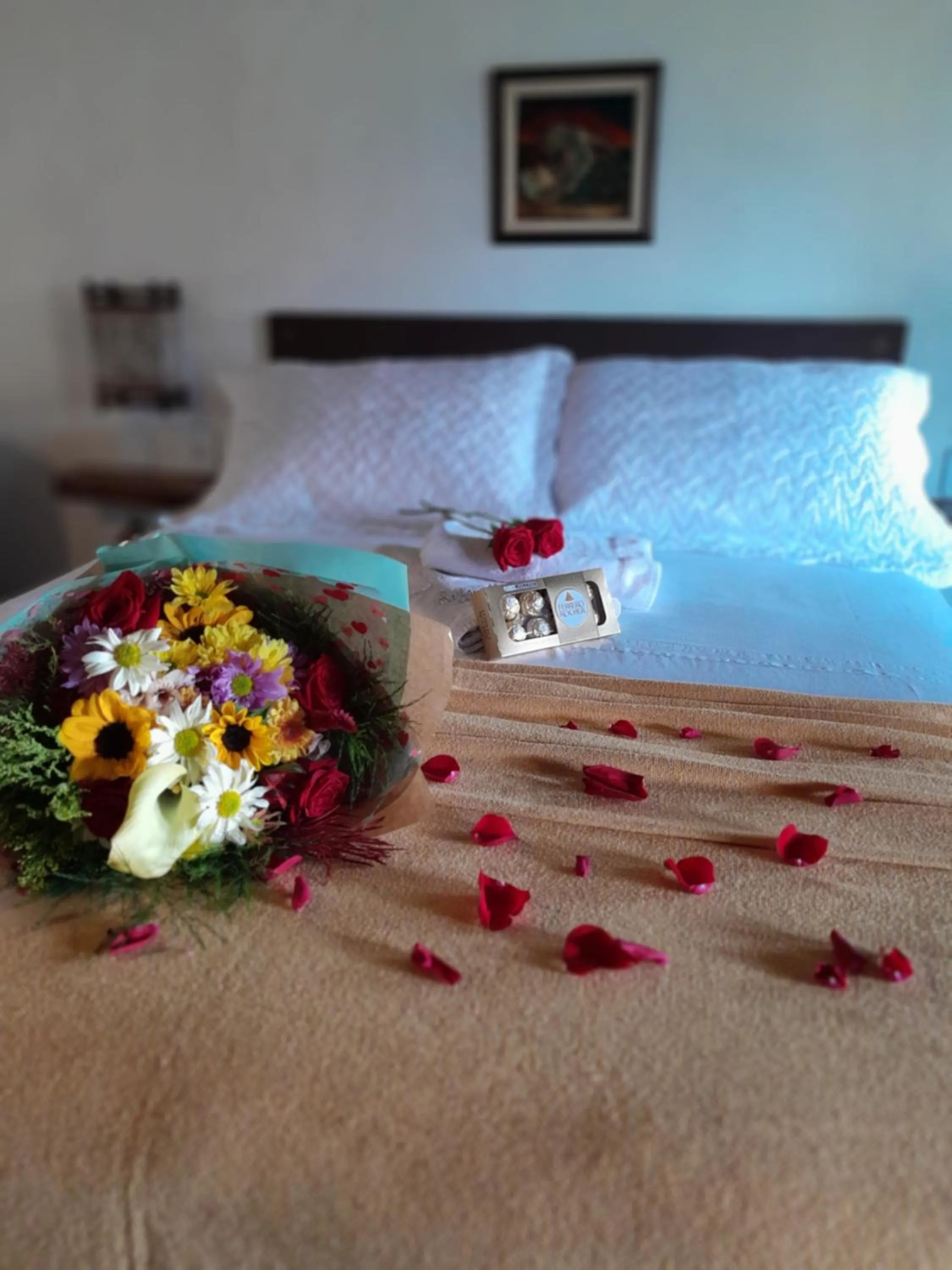 Santa Monica Hospedaria