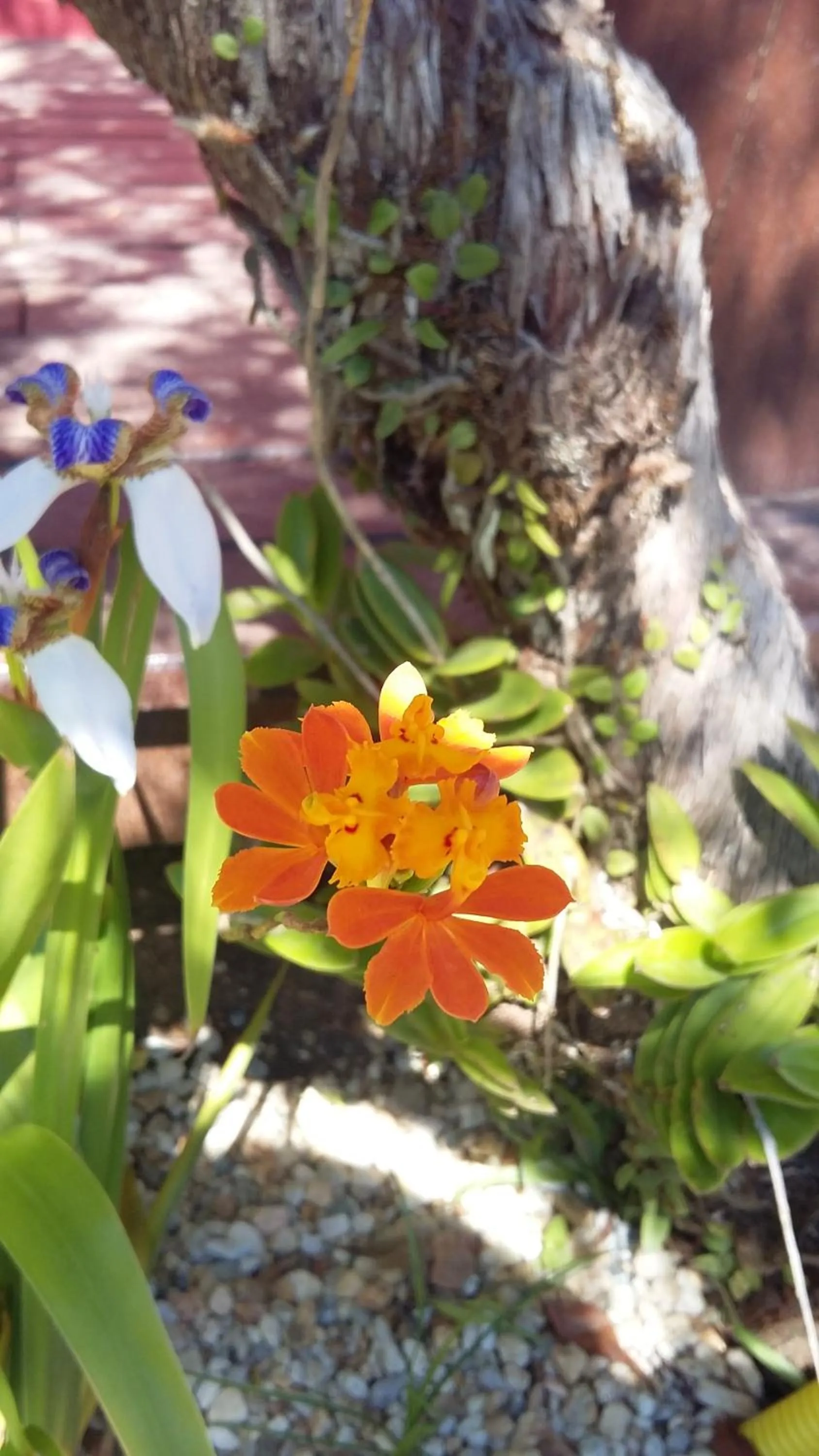 Santa Monica Hospedaria