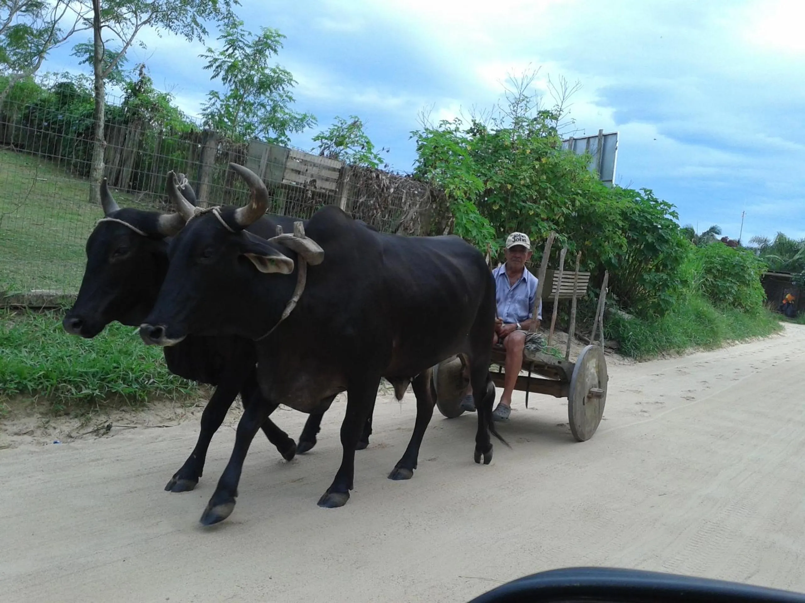 Santa Monica Hospedaria