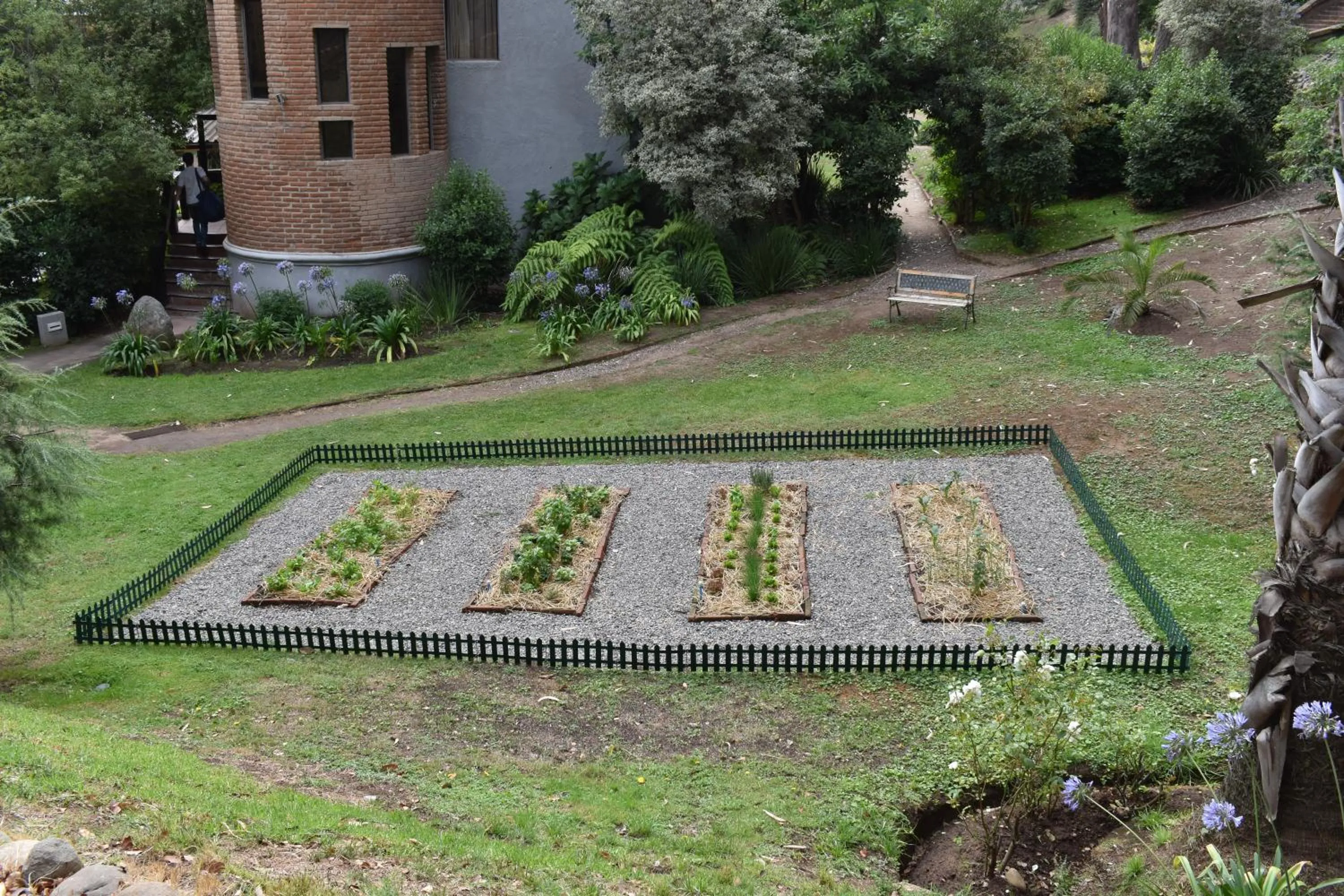 Food and drinks in Hotel Bosque de Reñaca