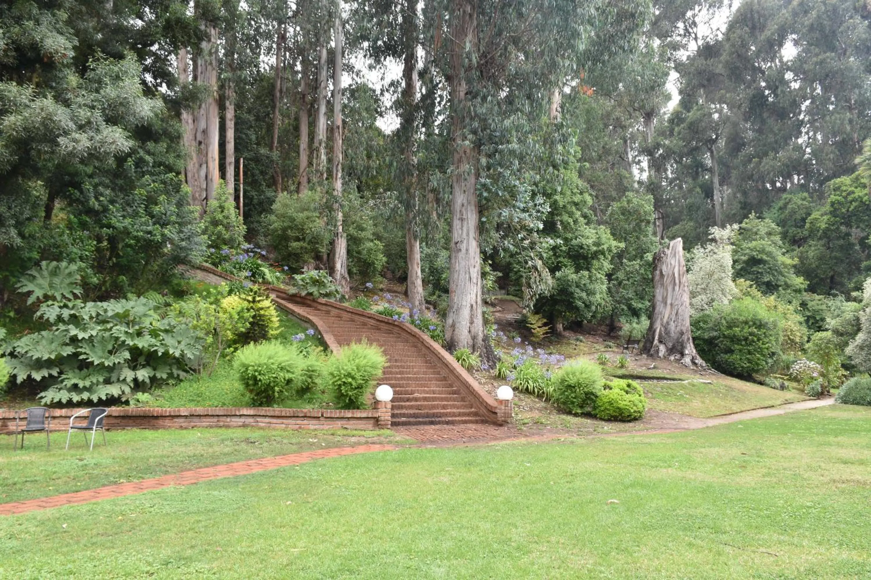 Garden in Hotel Bosque de Reñaca