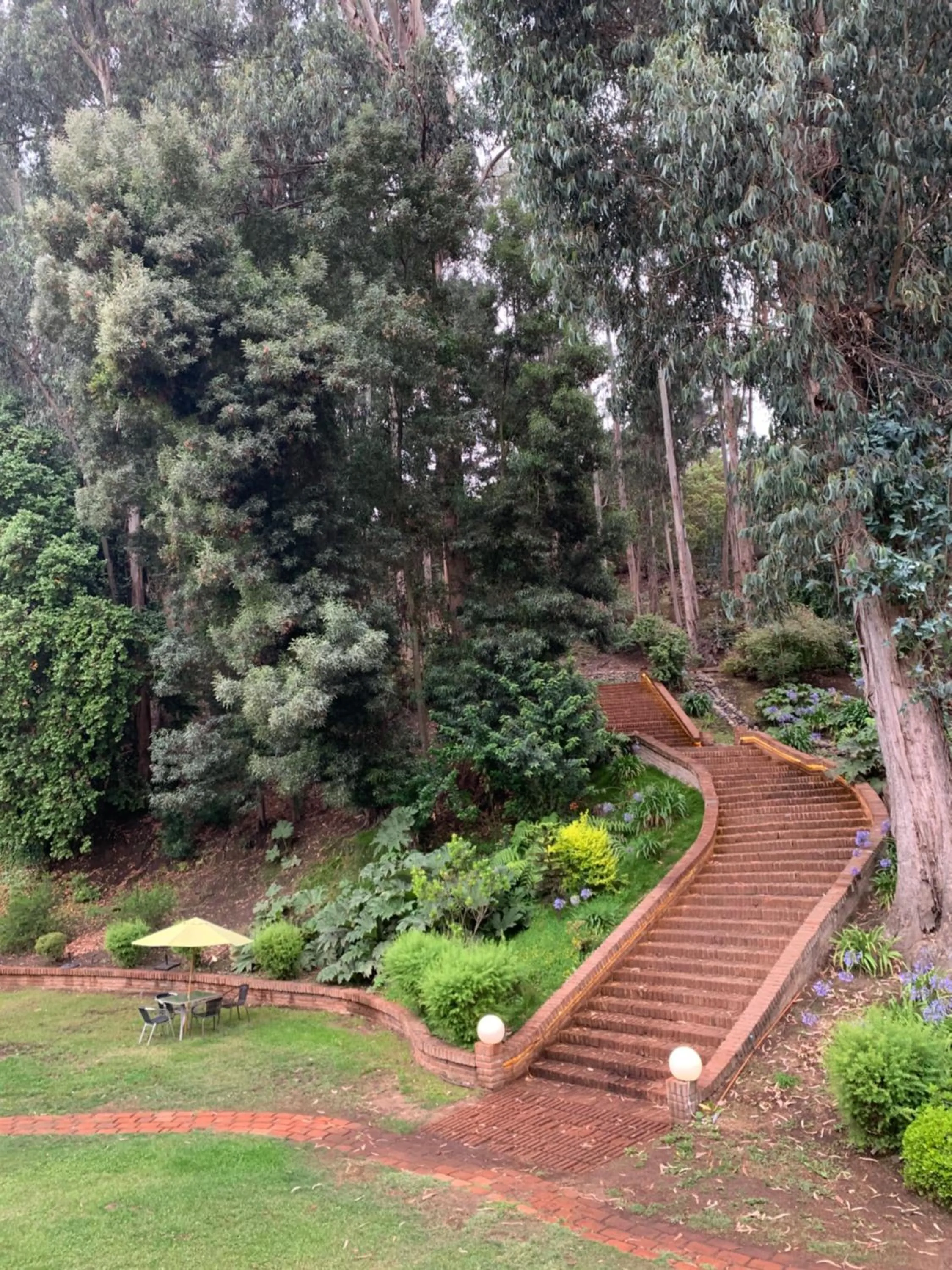 Natural landscape in Hotel Bosque de Reñaca