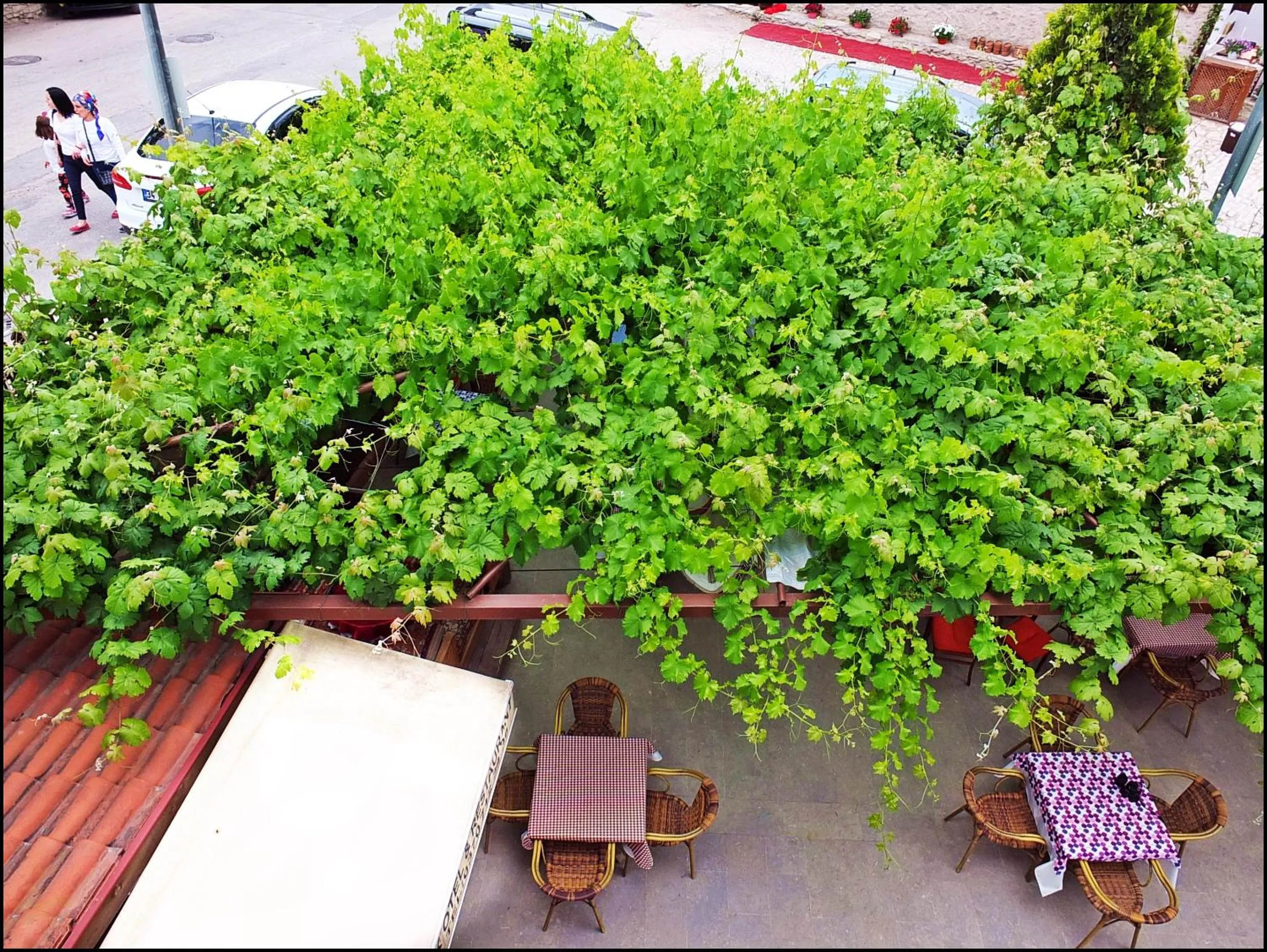 Property building in Cakiroglu Konak