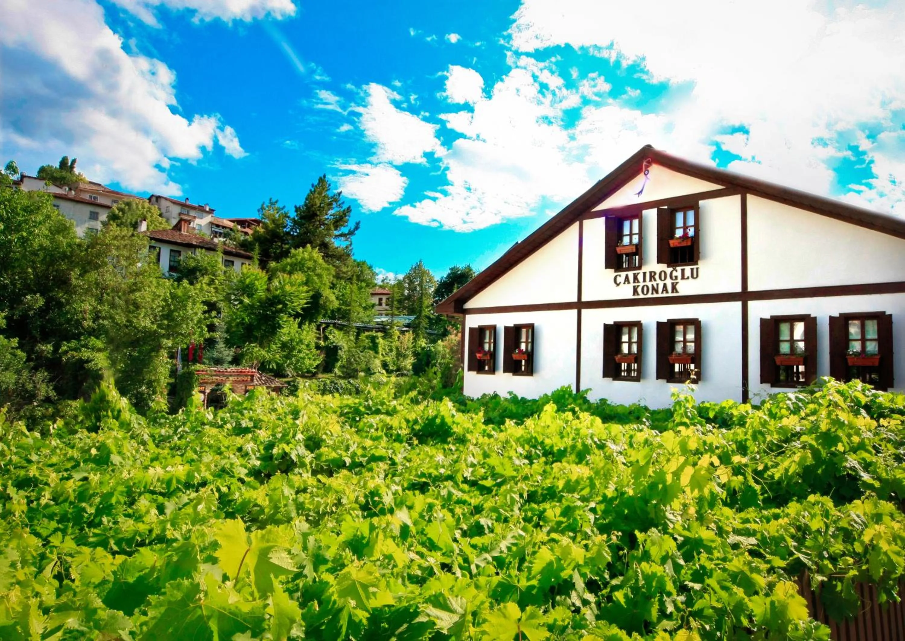 Cakiroglu Konak