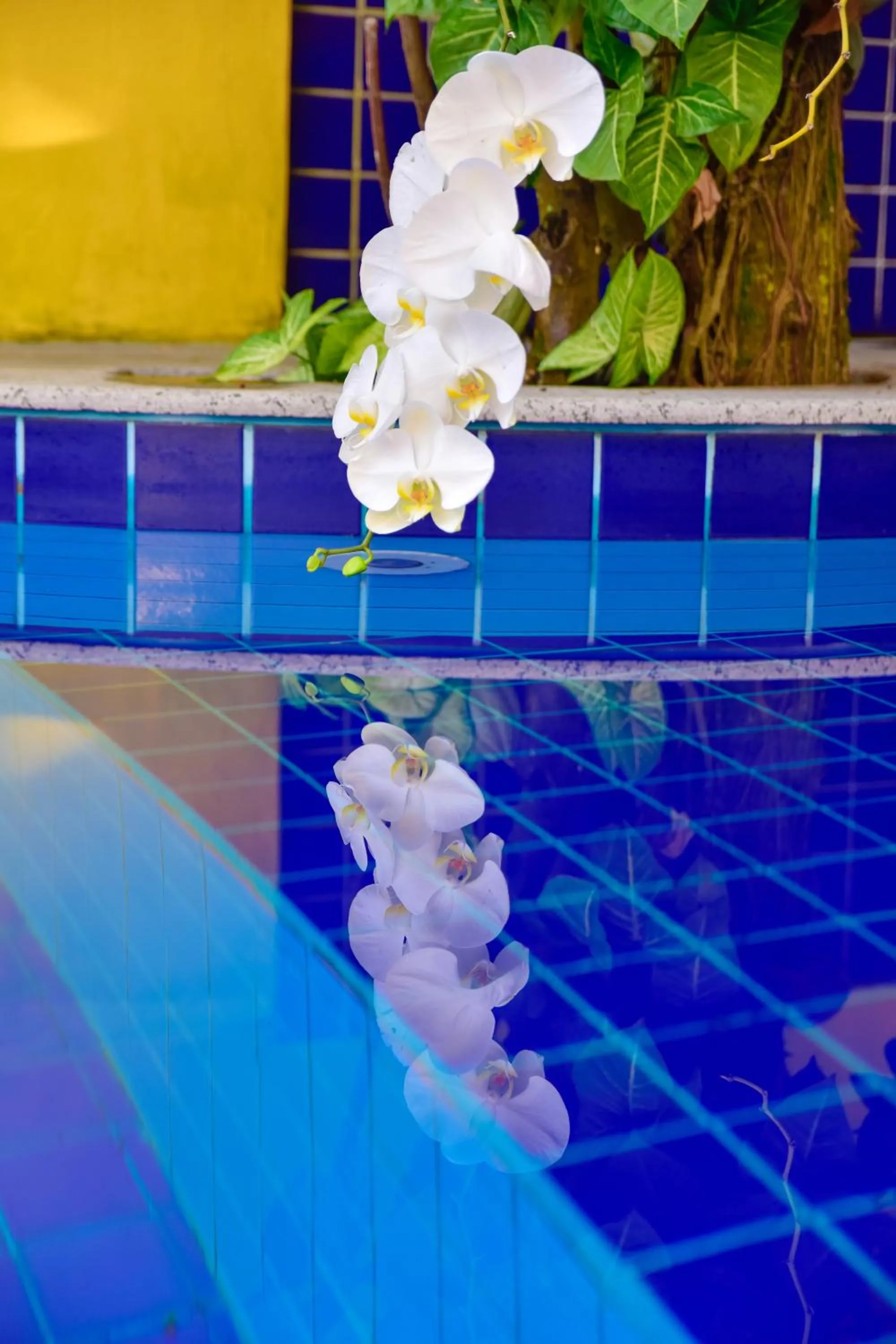 Swimming pool in Magnu´s Pousada