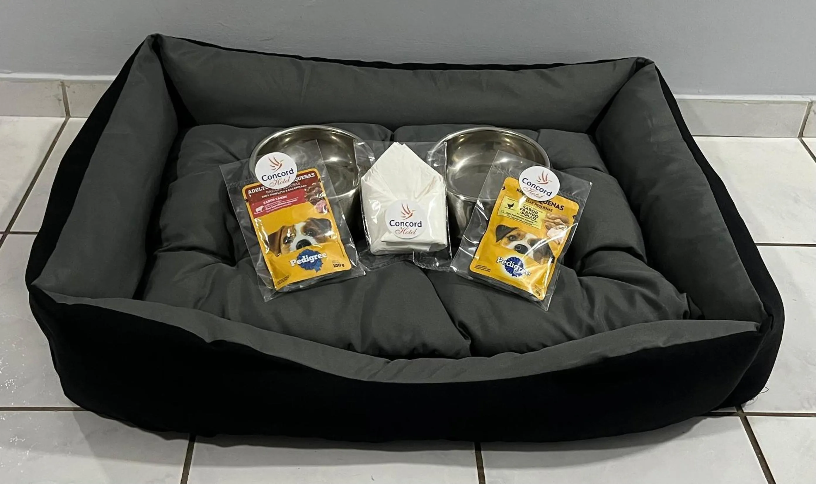 Pets in Hotel Concord e Eventos corporativos Campo Grande