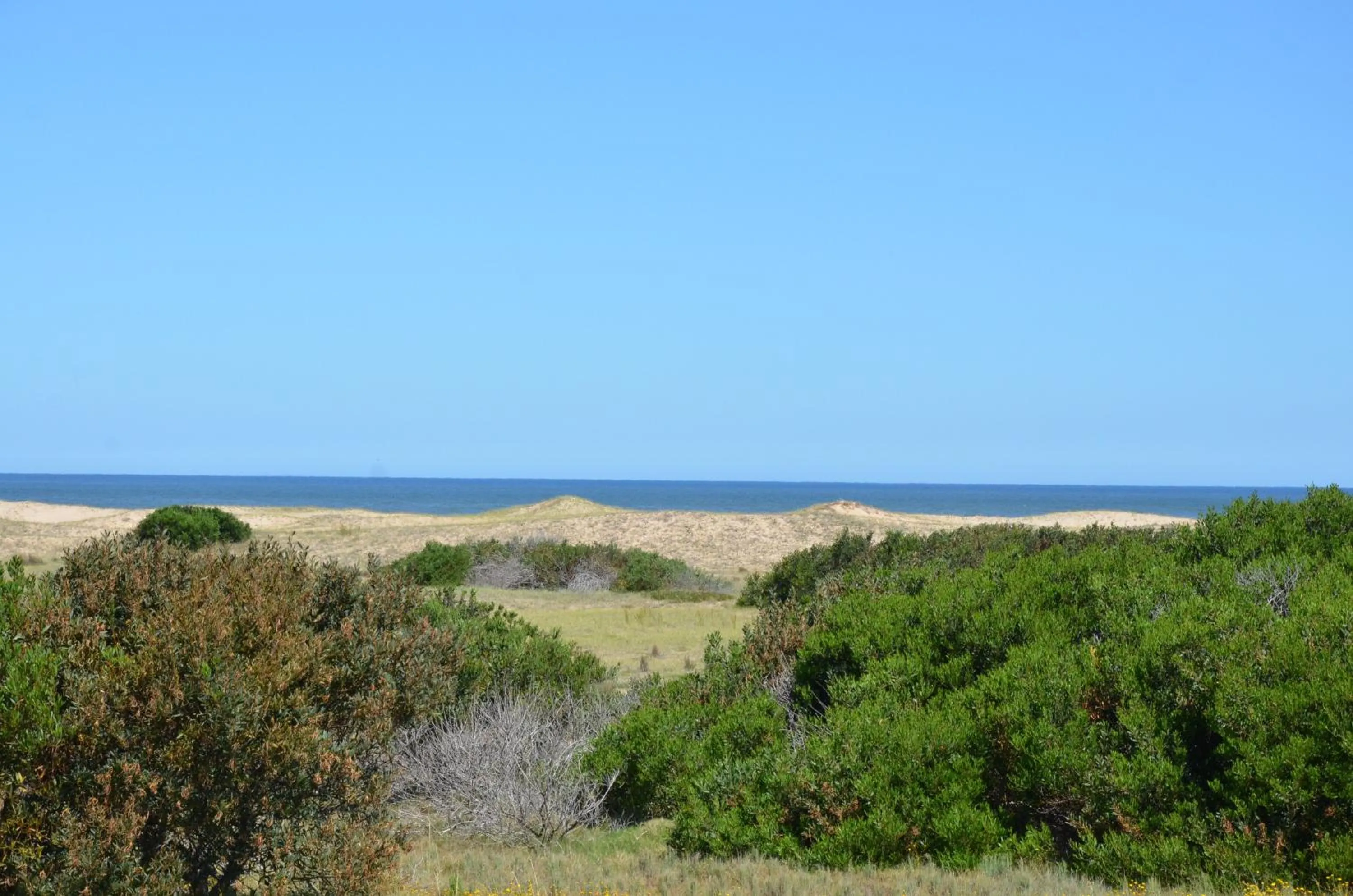 View (from property/room) in Casa Suaya