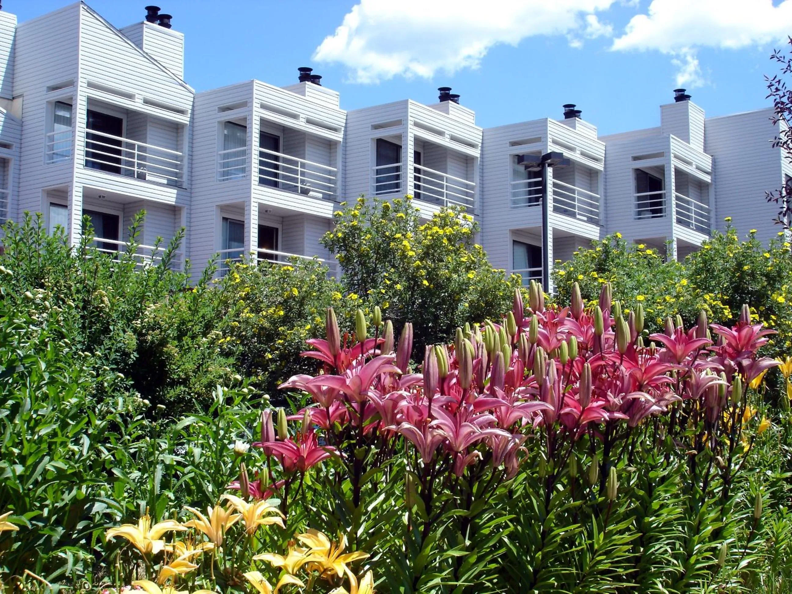 Property building in The Christie Lodge – All Suite Property Vail Valley/Beaver Creek