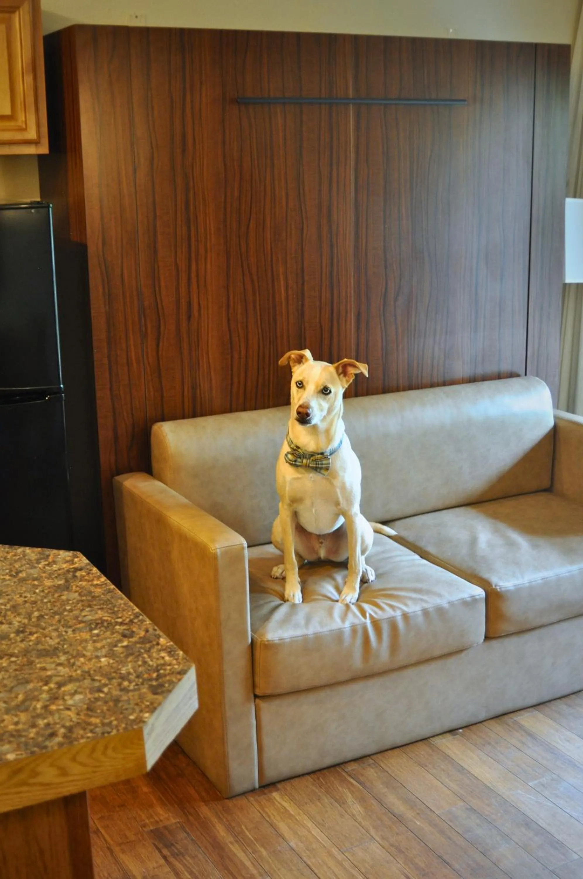Pets in The Christie Lodge – All Suite Property Vail Valley/Beaver Creek