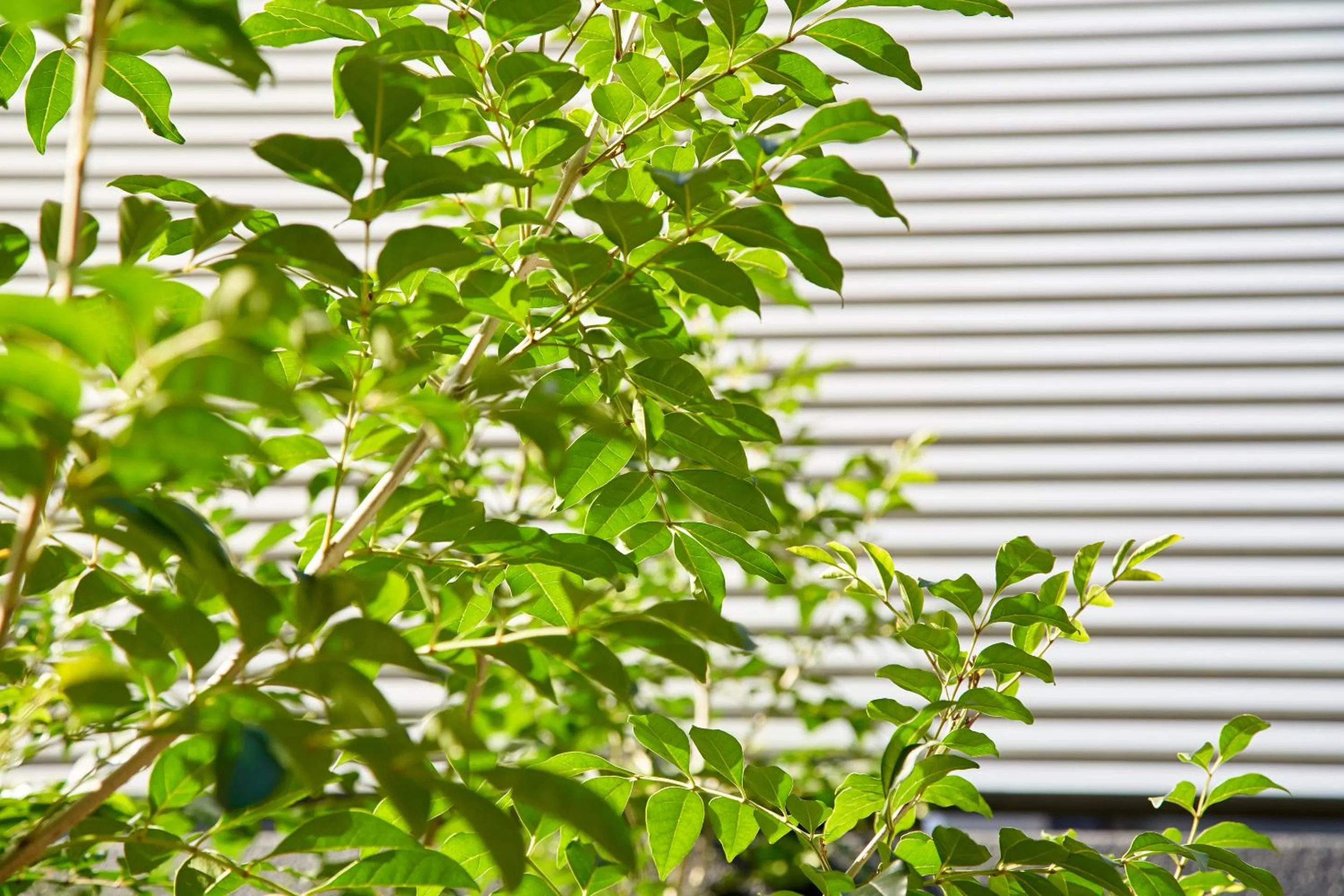 Property building in Hotel Amaterrace Yosuga