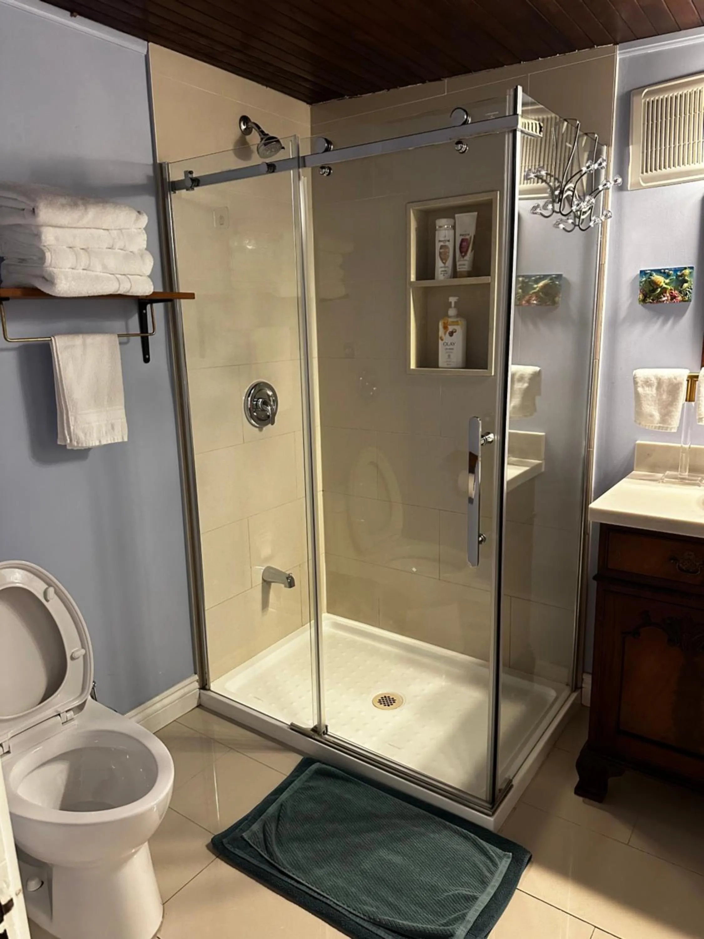 Bathroom in Blue Gables Bed and Breakfast