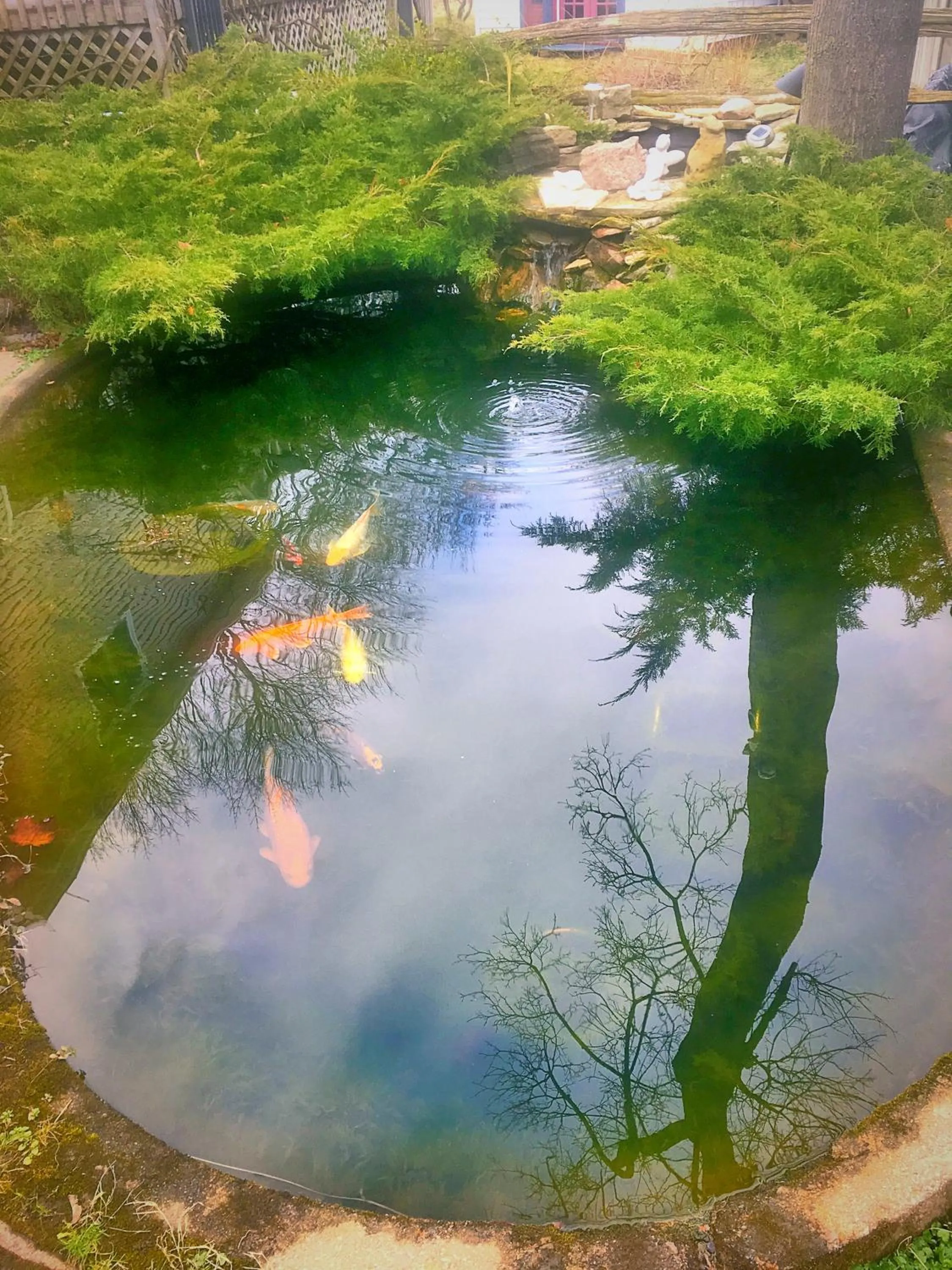 Off site in Blue Gables Bed and Breakfast