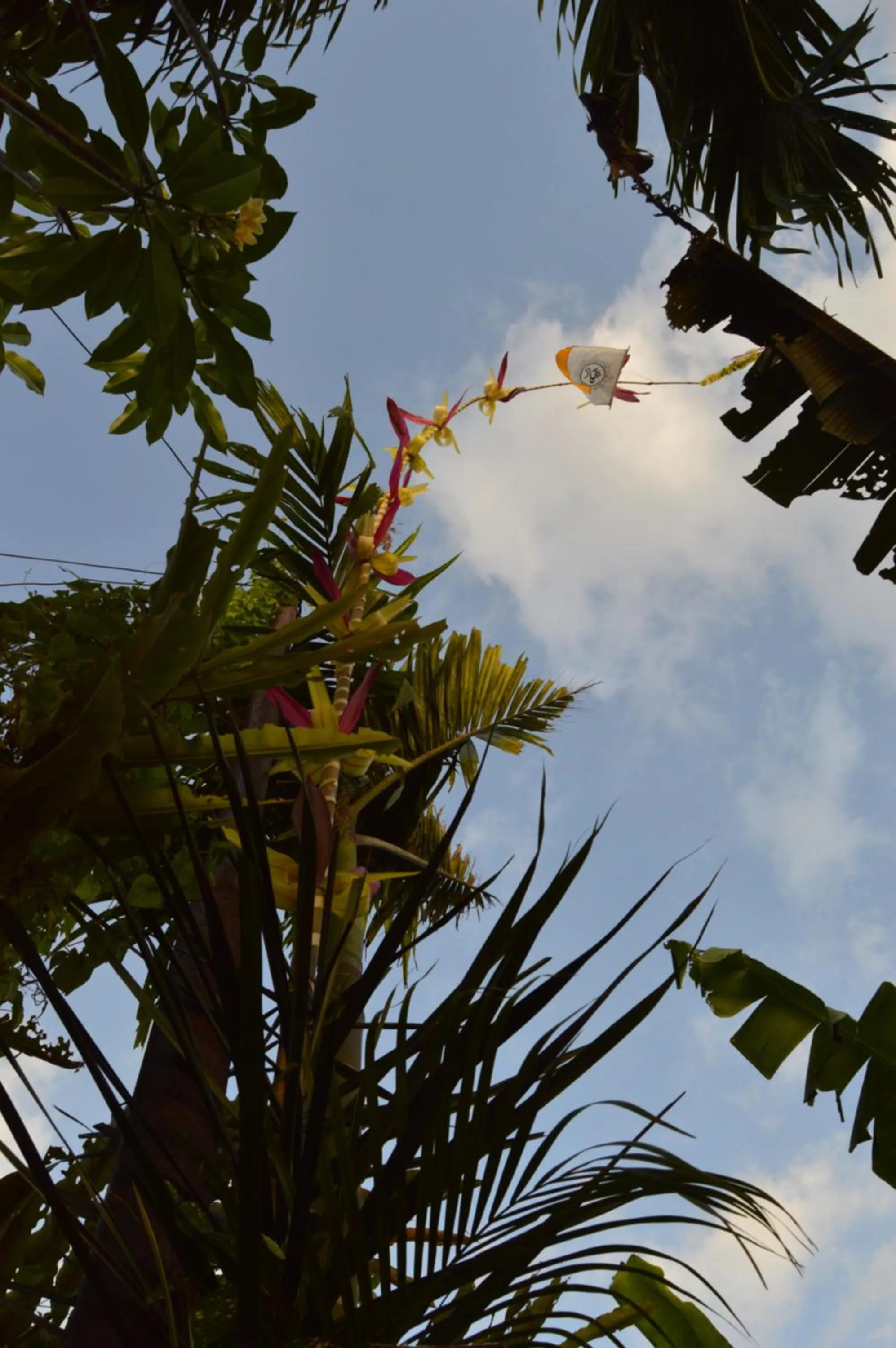 Decorative detail in Askara Guest House & Hostel