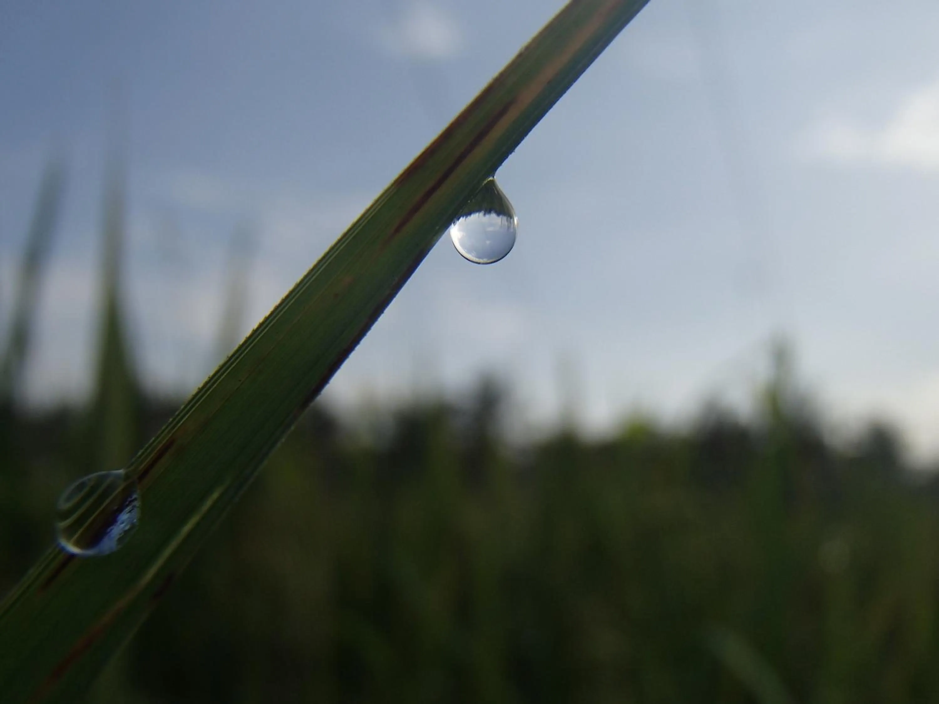 Natural landscape in Askara Guest House & Hostel