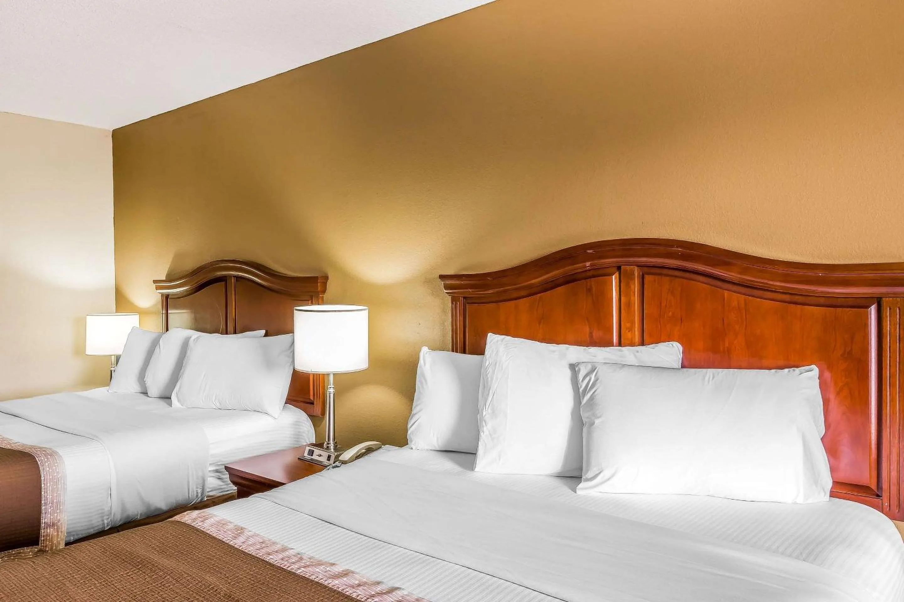 Photo of the whole room, Bed in Rodeway Inn Knoxville East