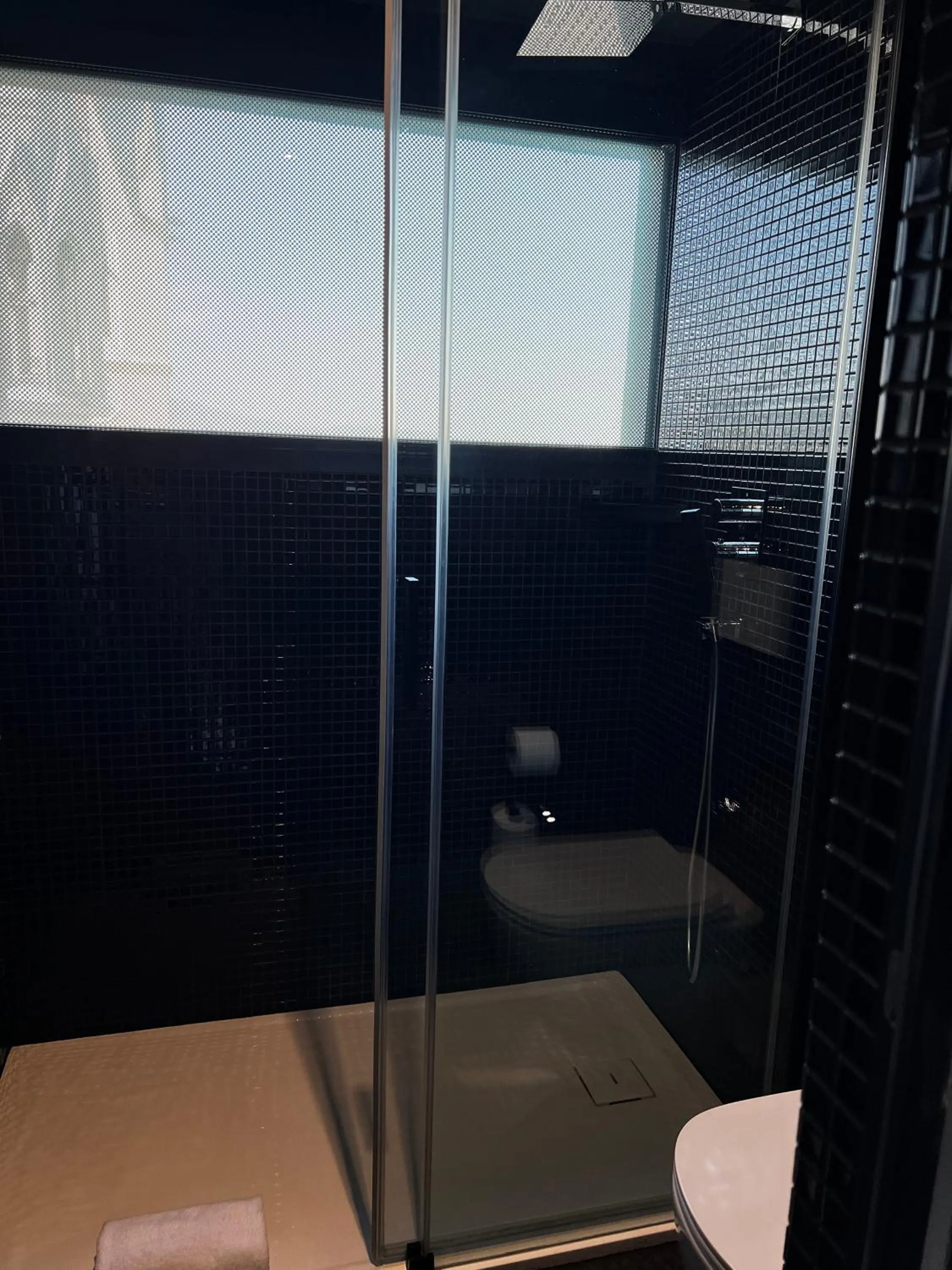 Shower in Hotel Praha Liberec