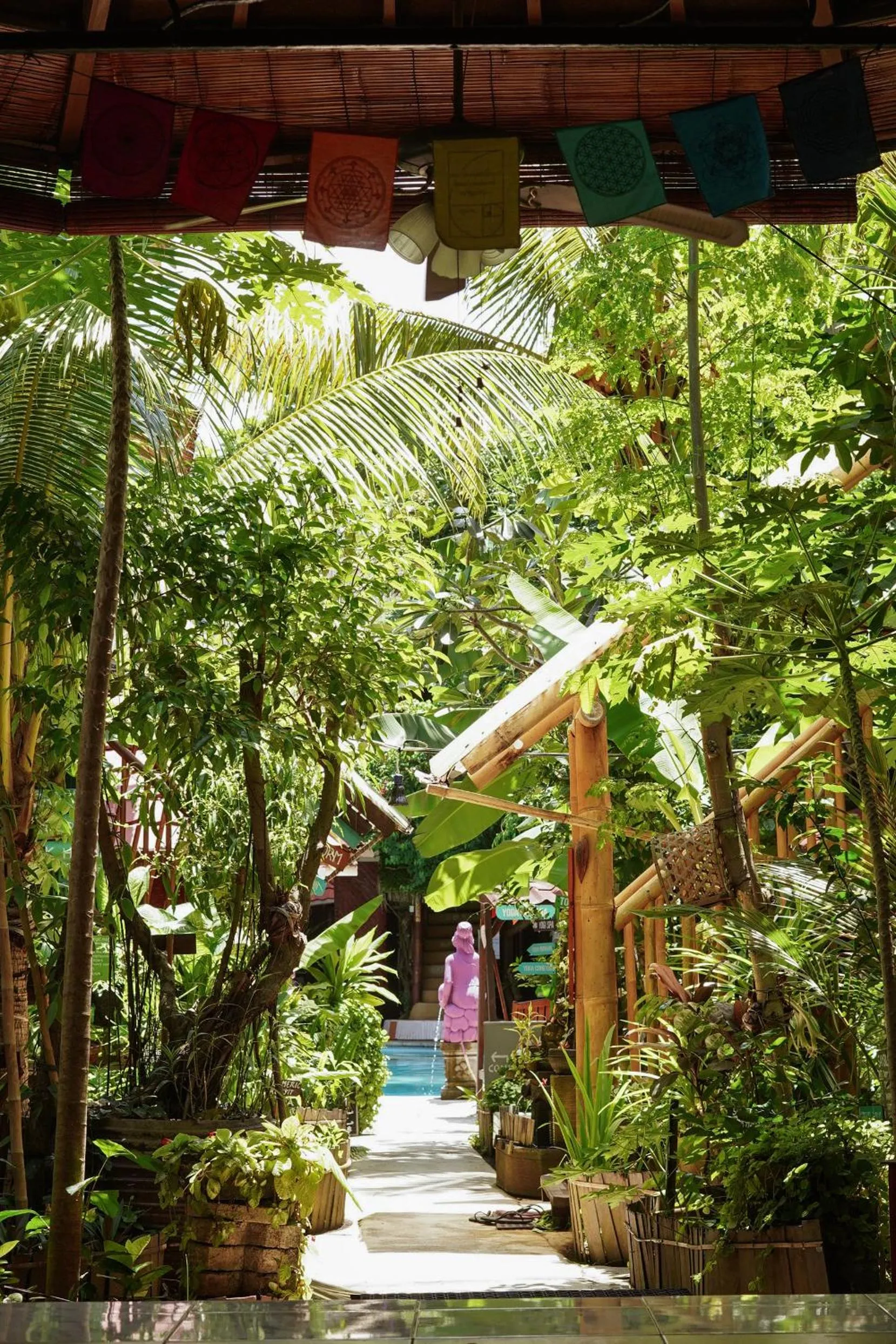 Garden view in Serenity Eco Guesthouse - CHSE certified